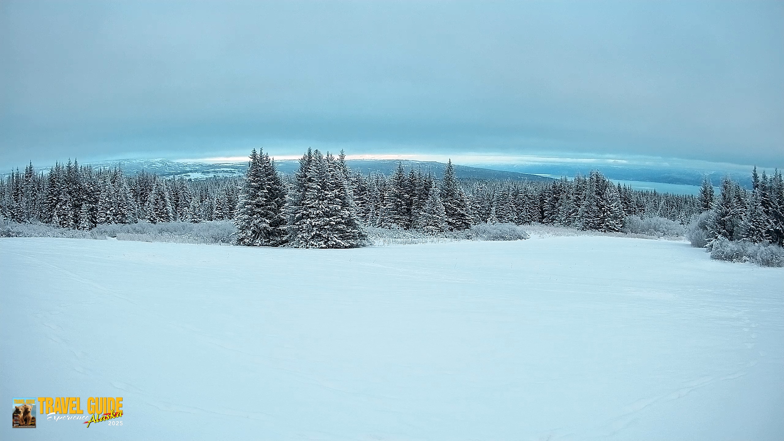 Snapshot of Homer Alaska Northern Lights Live Cam taken Jan 12, 2026, 4:48pm AKST
