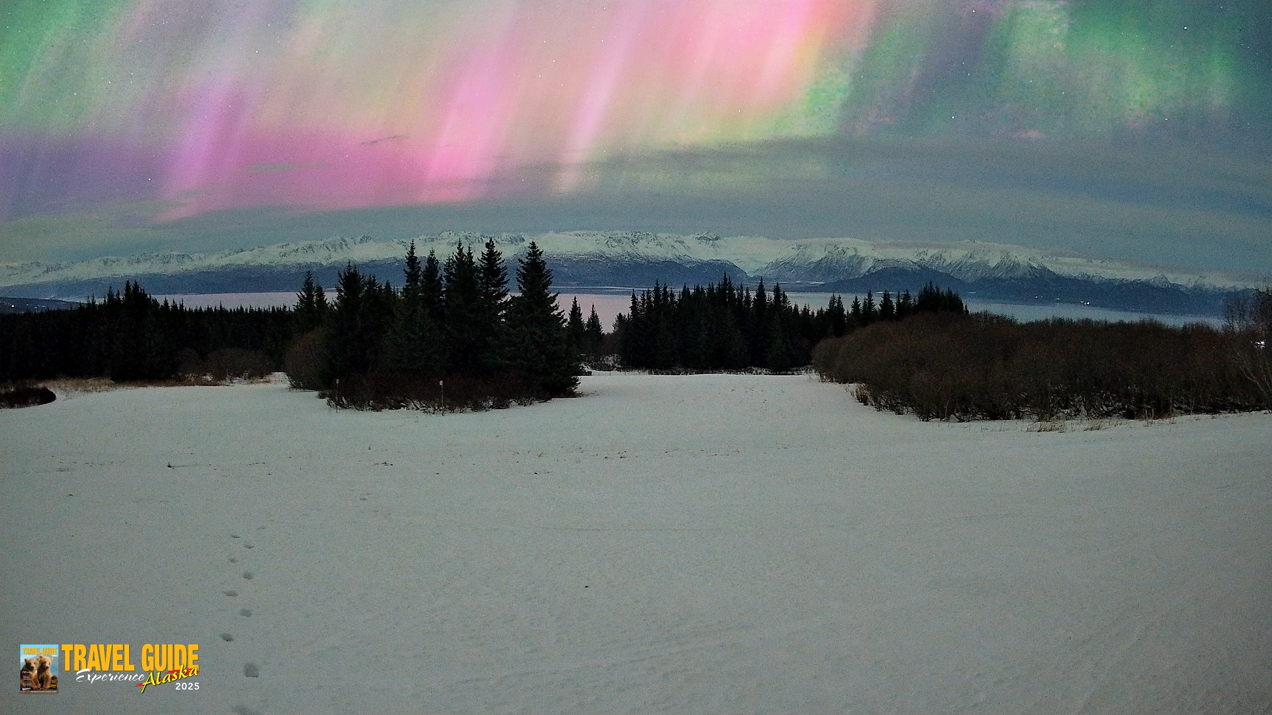 Snapshot of Homer Alaska Northern Lights Live Cam taken Jan 20, 2026, 6:30am AKST