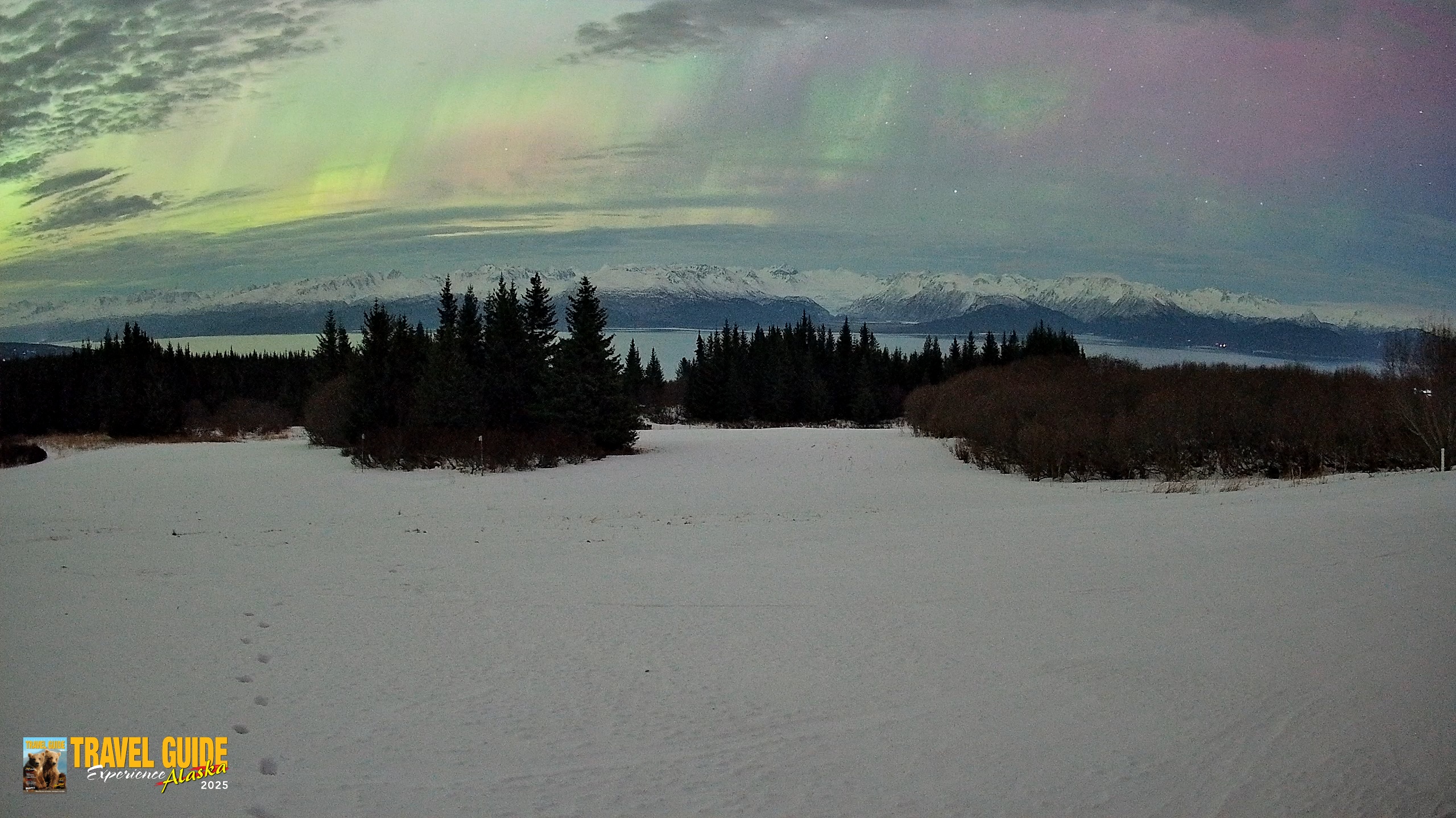 Snapshot of Homer Alaska Northern Lights Live Cam taken Jan 20, 2026, 2:48am AKST