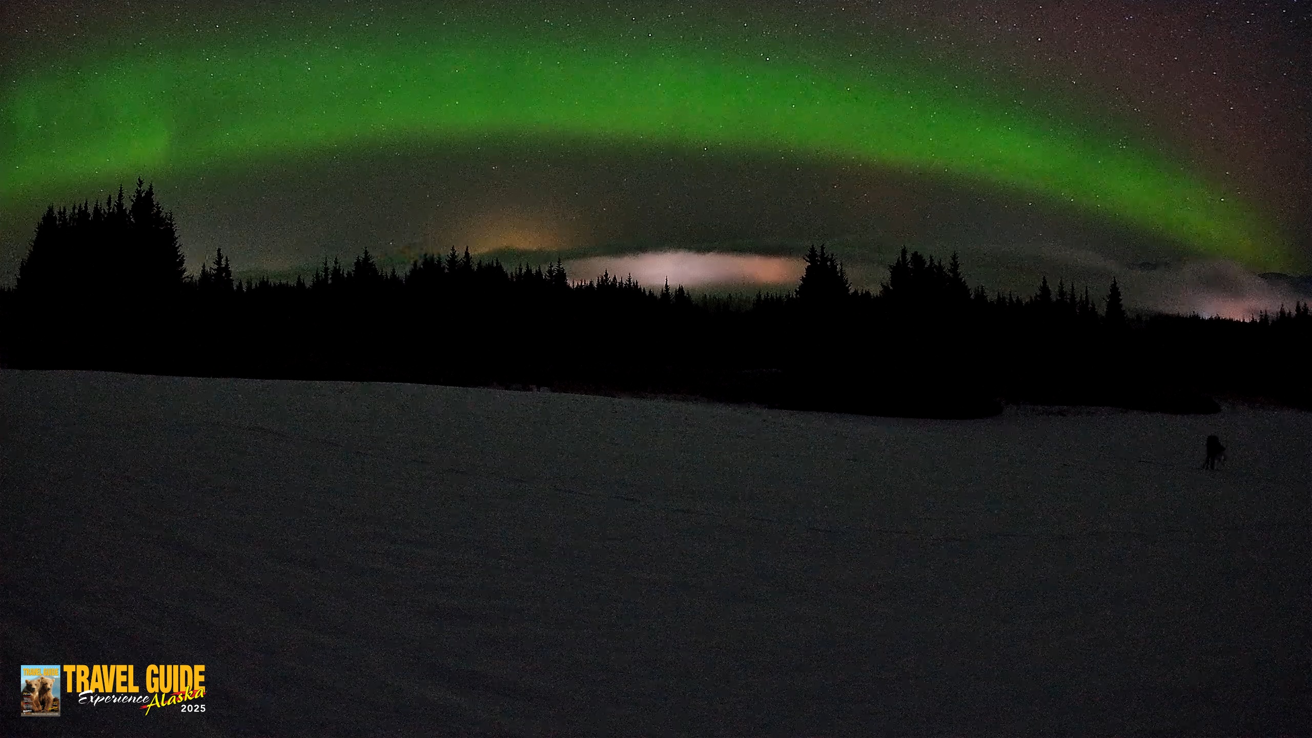Snapshot of Homer Alaska Northern Lights Live Cam taken Feb 19, 2026, 3:23am AKST