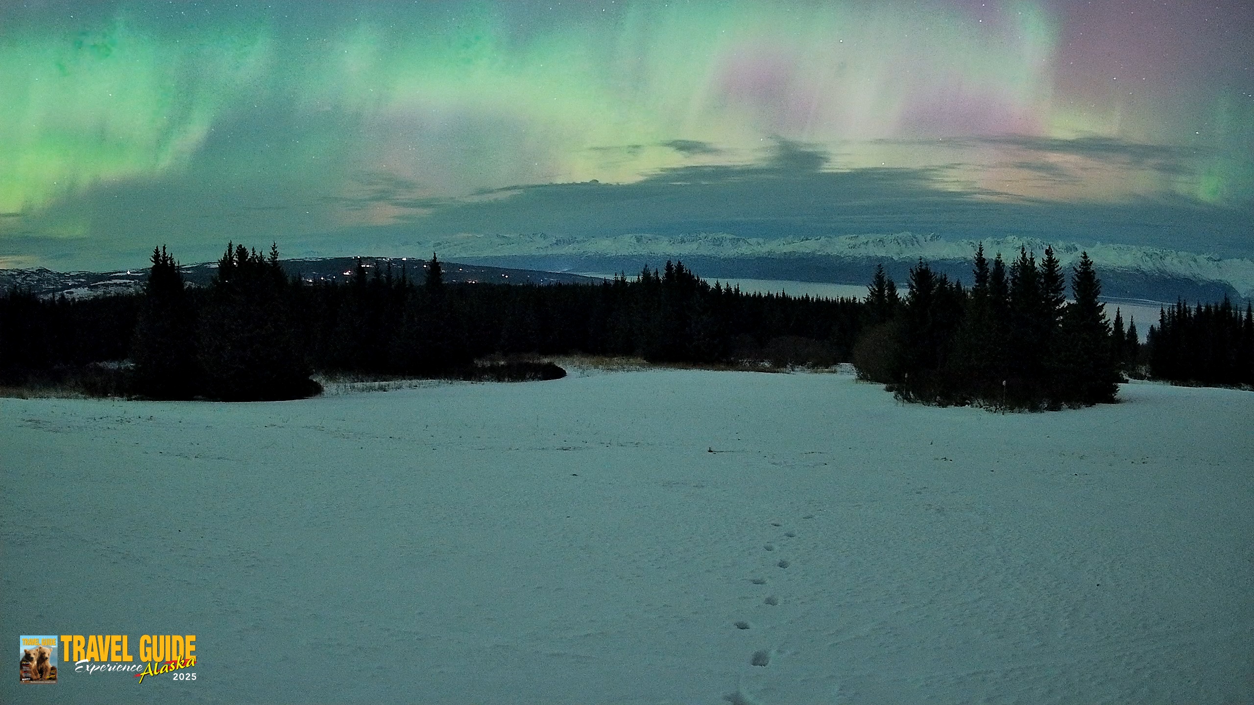 Snapshot of Homer Alaska Northern Lights Live Cam taken Jan 20, 2026, 5:11am AKST