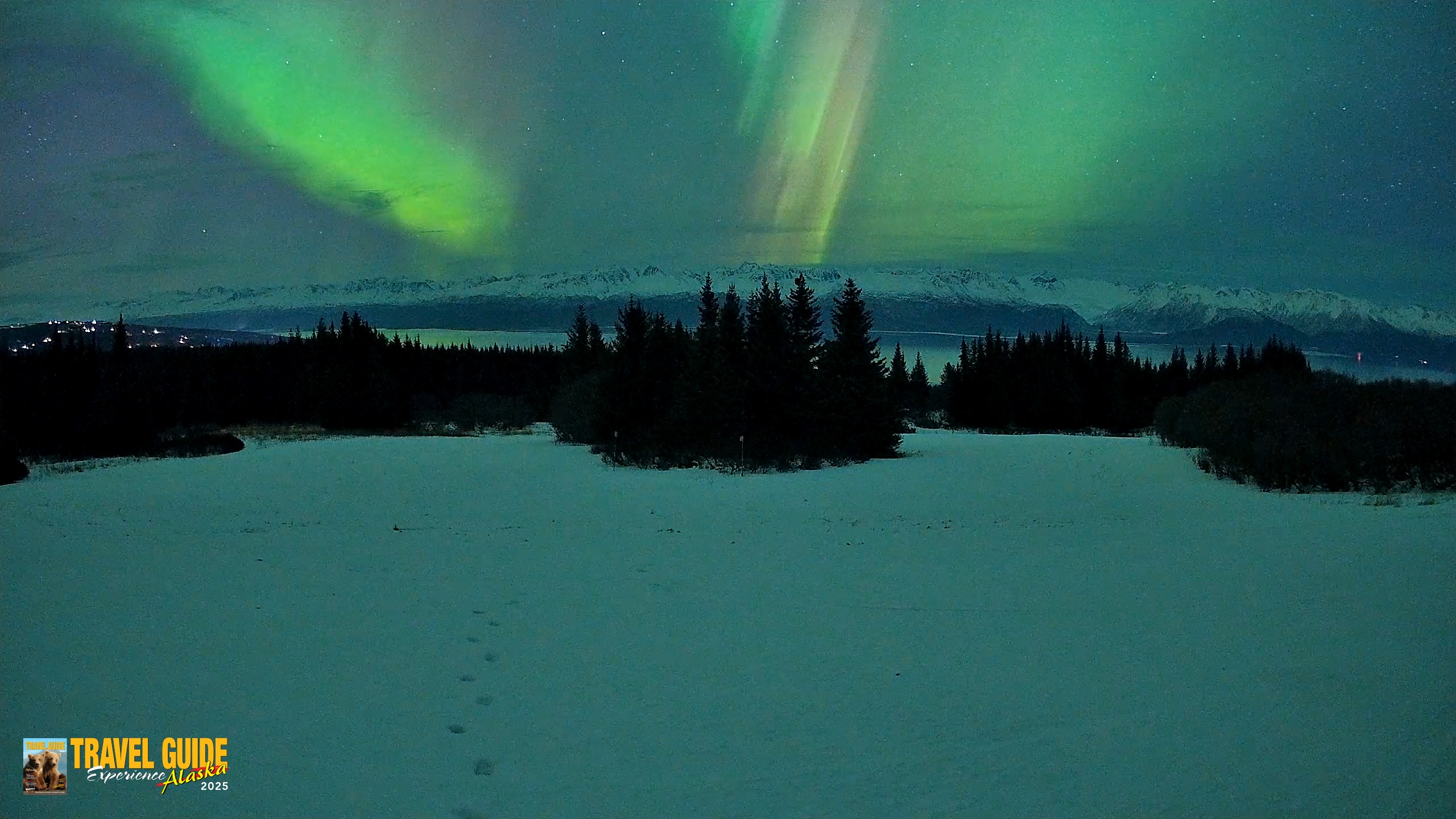 Snapshot of Homer Alaska Northern Lights Live Cam taken Jan 20, 2026, 9:50pm AKST