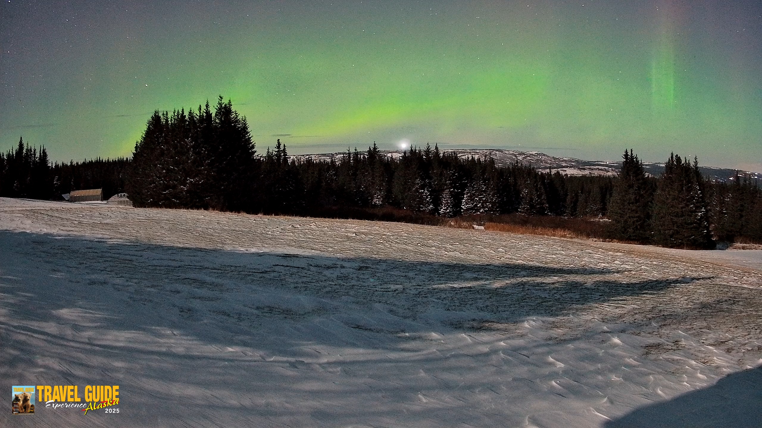 Snapshot of Homer Alaska Northern Lights Live Cam taken Dec 29, 2025, 12:40am AKST