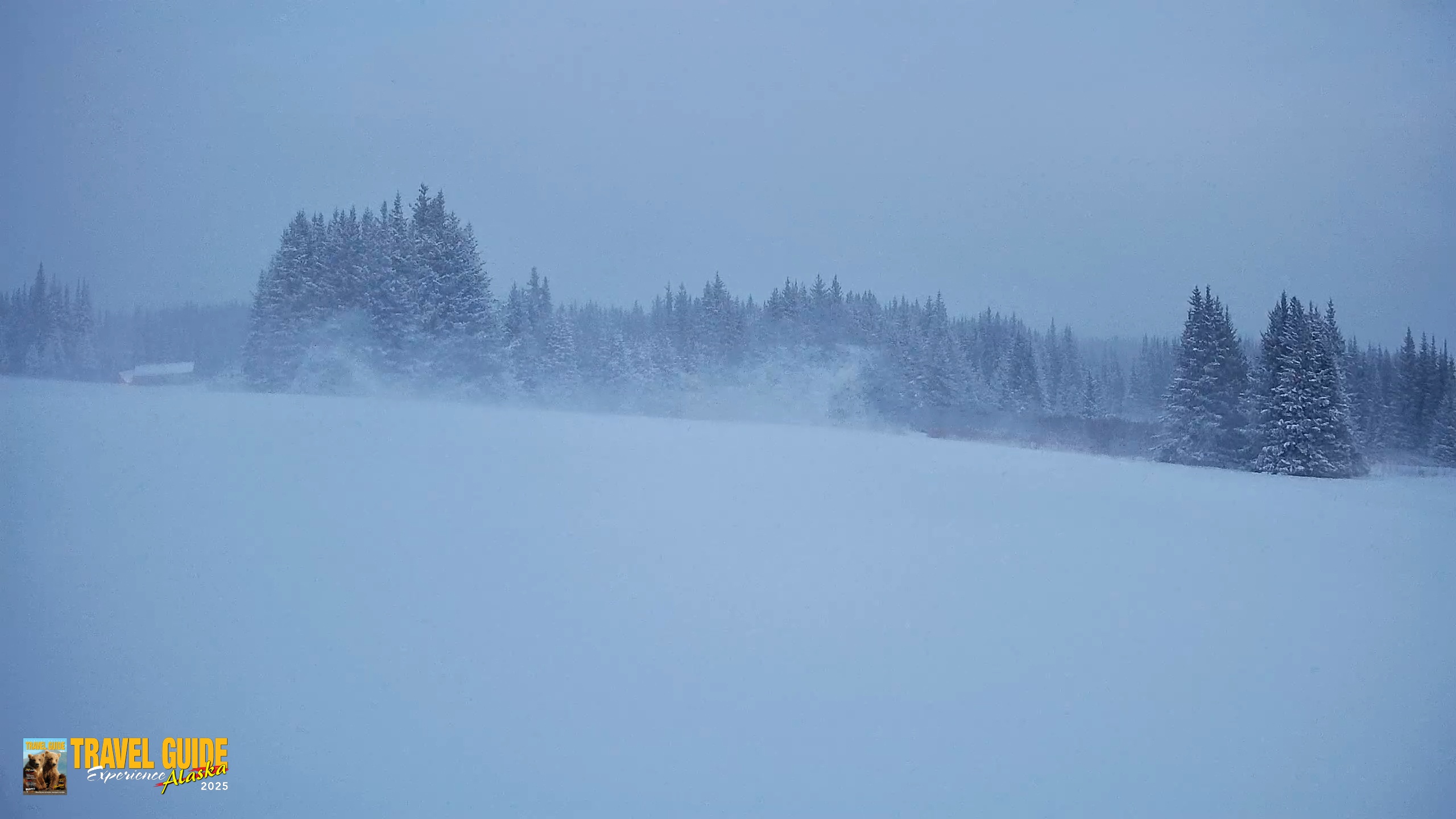 Snapshot of Homer Alaska Northern Lights Live Cam taken Jan 6, 2026, 10:05pm AKST