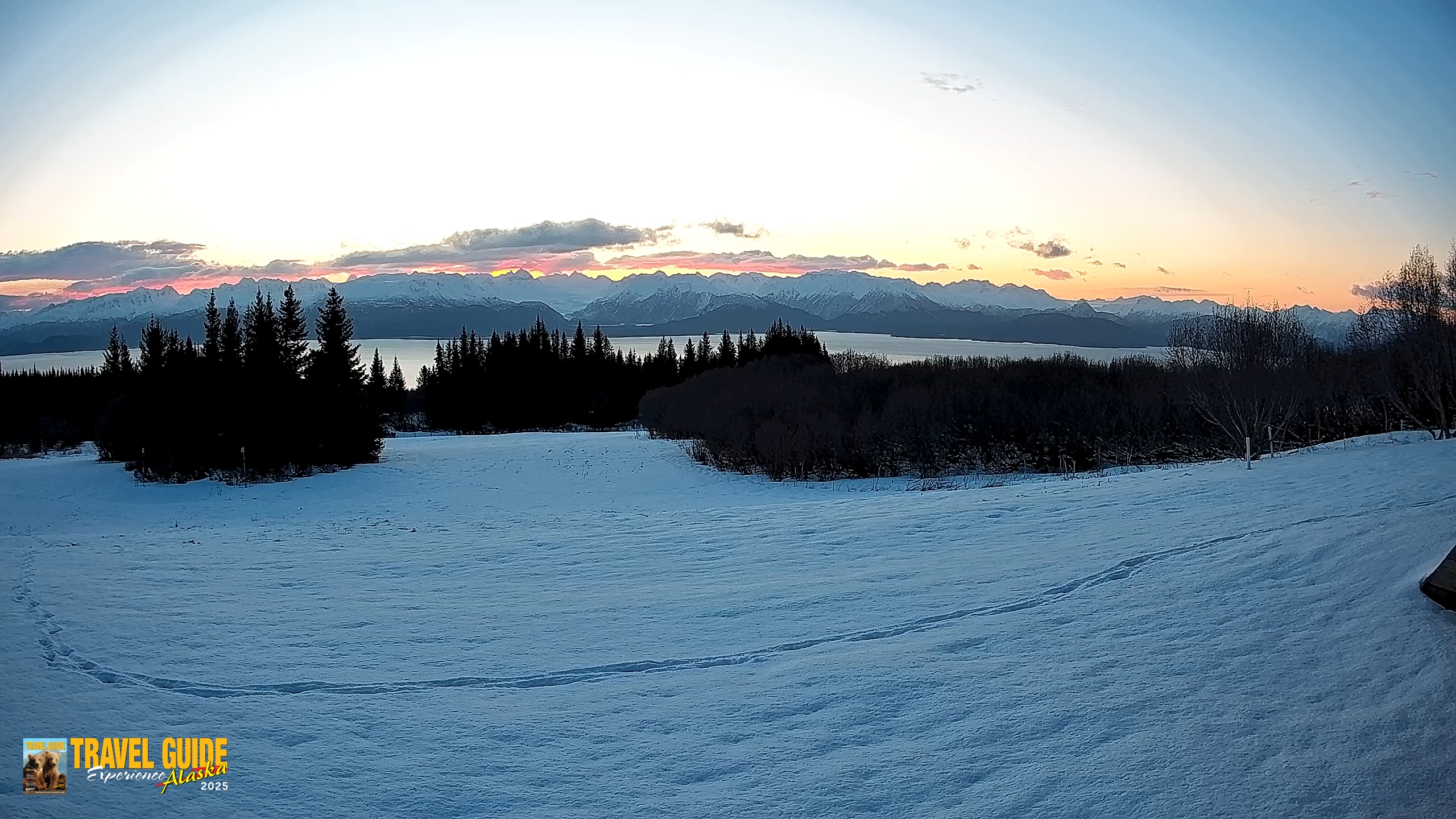 Snapshot of Homer Alaska Northern Lights Live Cam taken Feb 15, 2026, 8:39am AKST