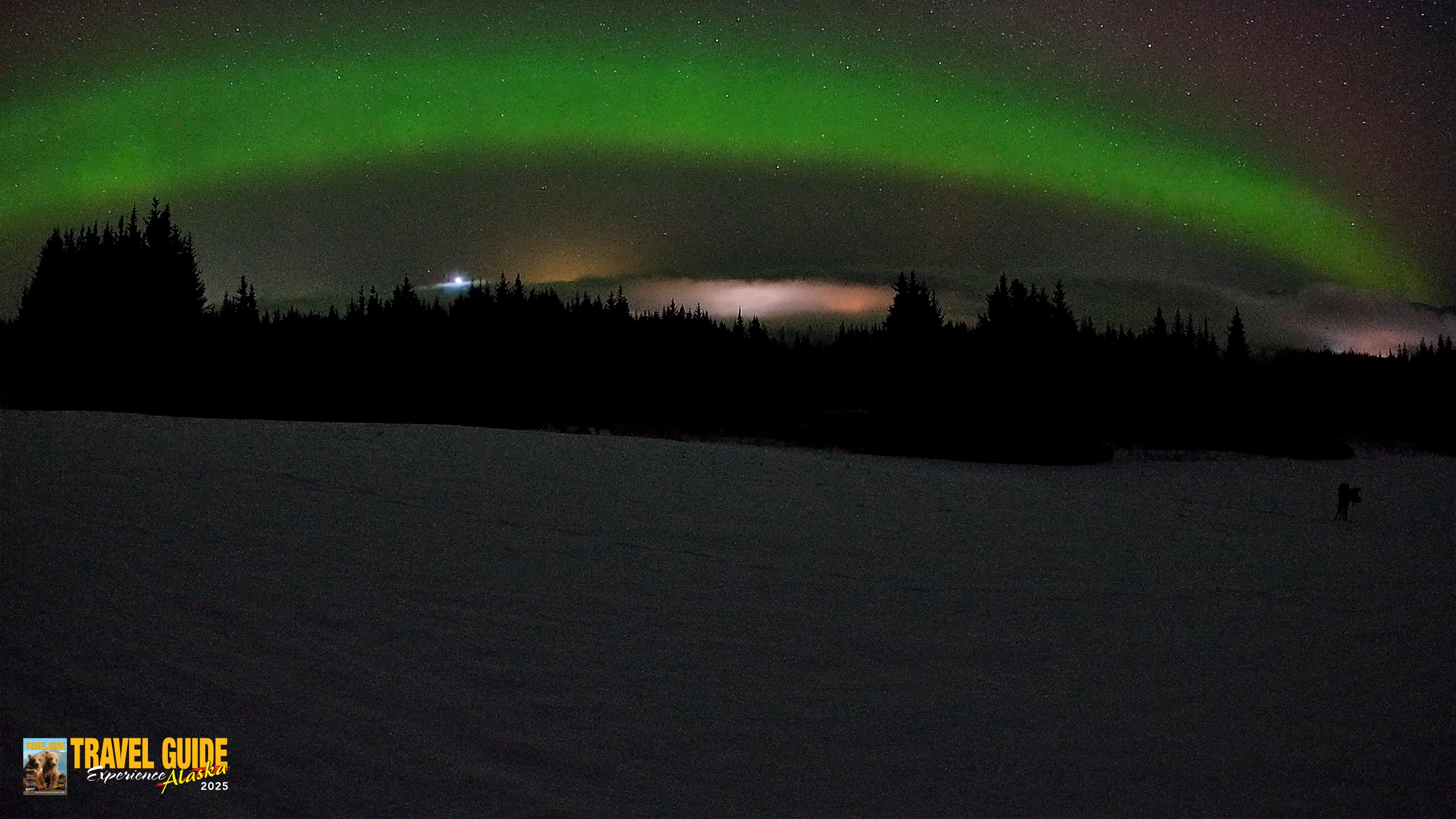 Snapshot of Homer Alaska Northern Lights Live Cam taken Feb 19, 2026, 3:22am AKST