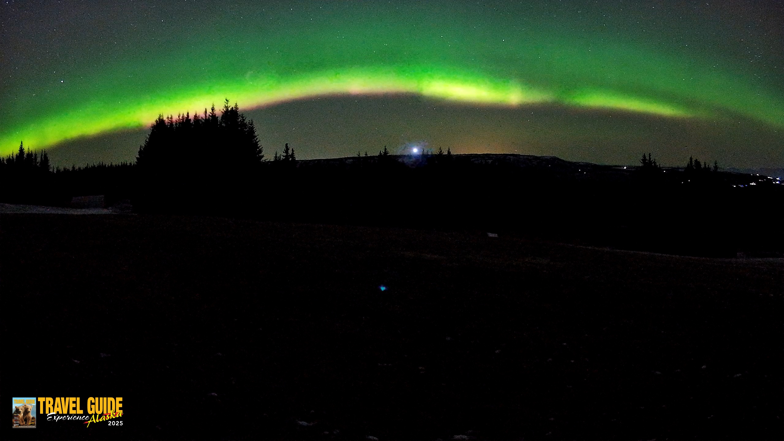 Snapshot of Homer Alaska Northern Lights Live Cam taken Dec 22, 2025, 12:41am AKST