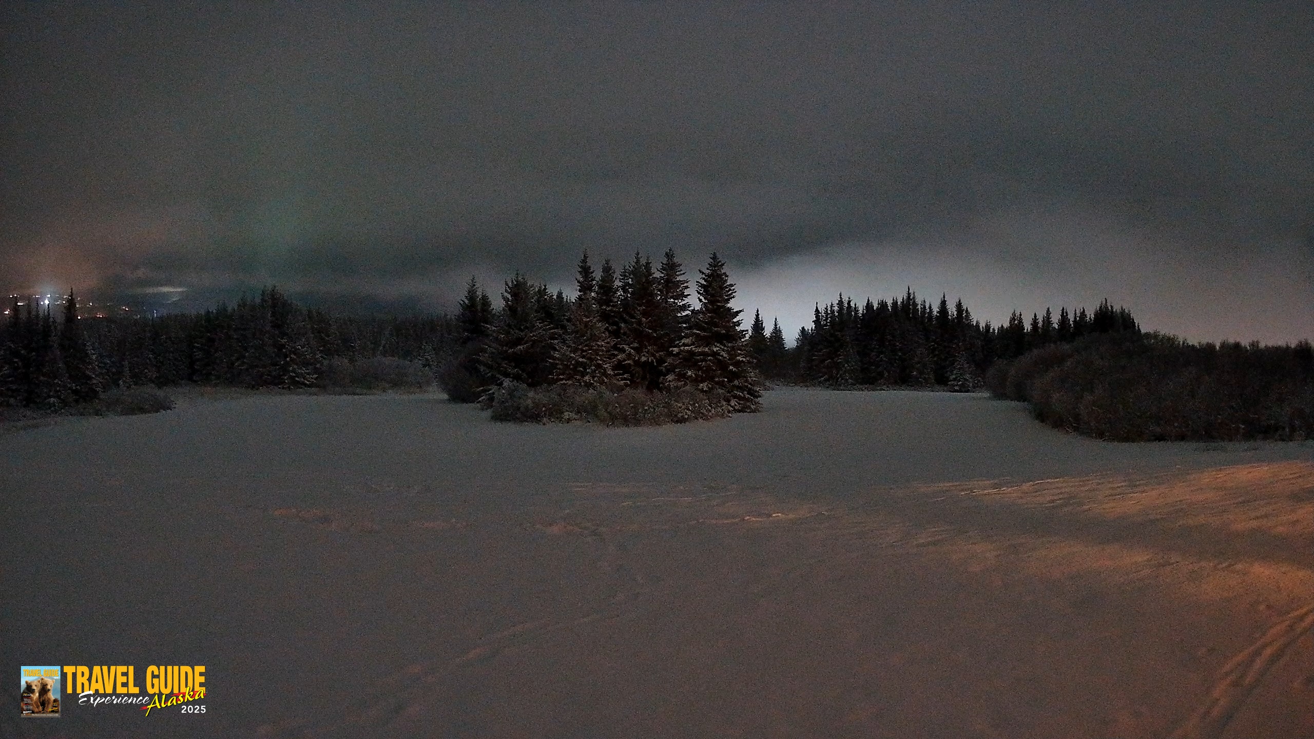 Snapshot of Homer Alaska Northern Lights Live Cam taken Jan 14, 2026, 8:43am AKST