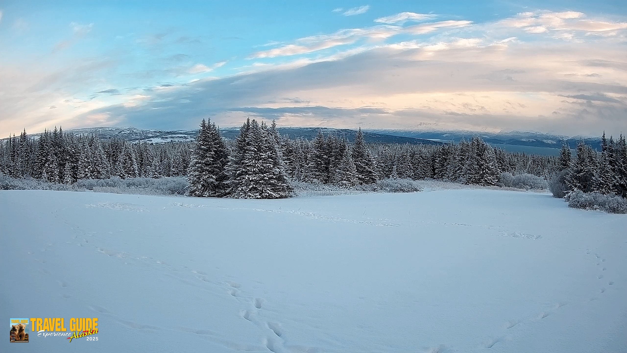 Snapshot of Homer Alaska Northern Lights Live Cam taken Jan 13, 2026, 4:41pm AKST