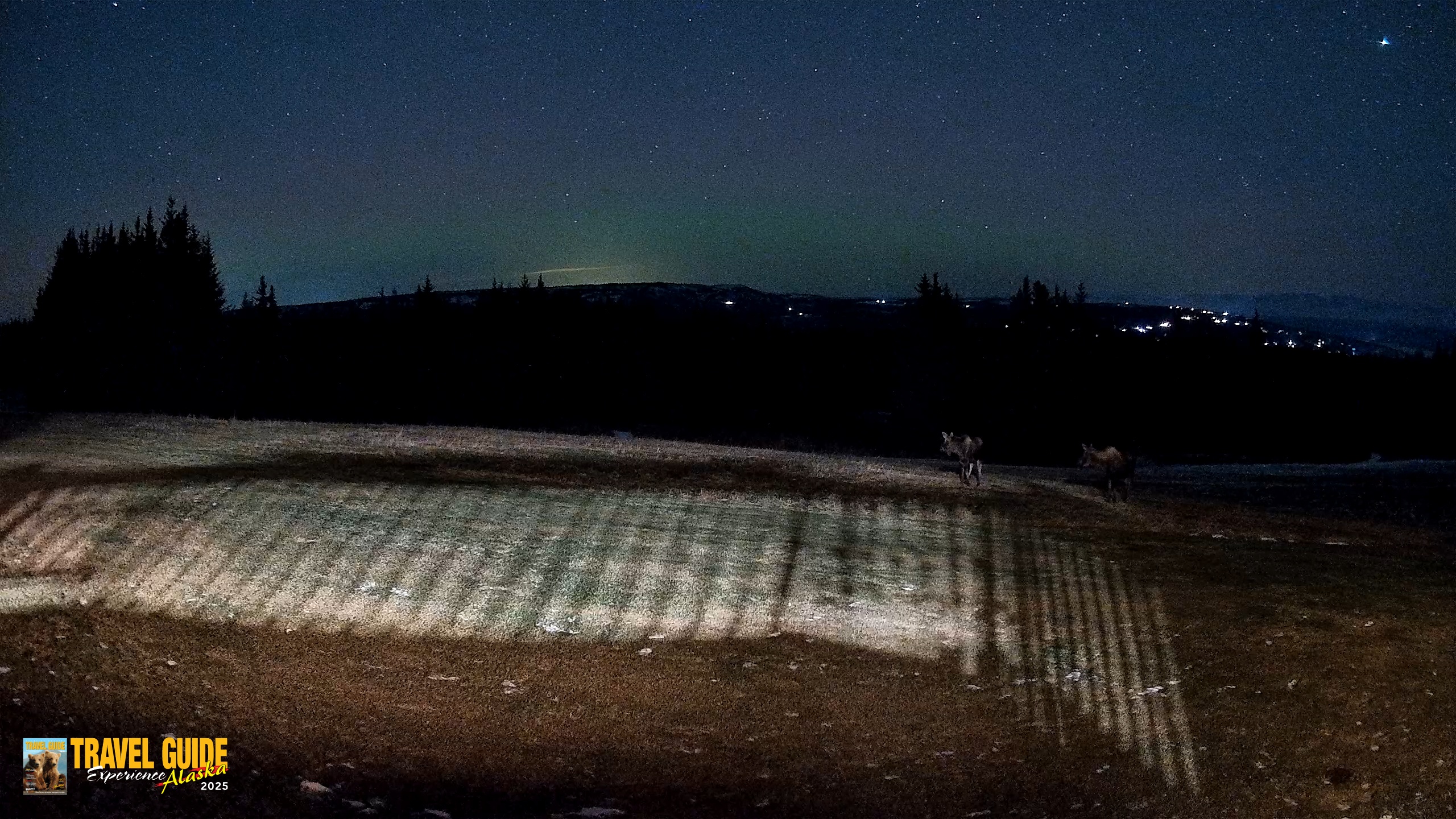 Snapshot of Homer Alaska Northern Lights Live Cam taken Dec 15, 2025, 8:48pm AKST