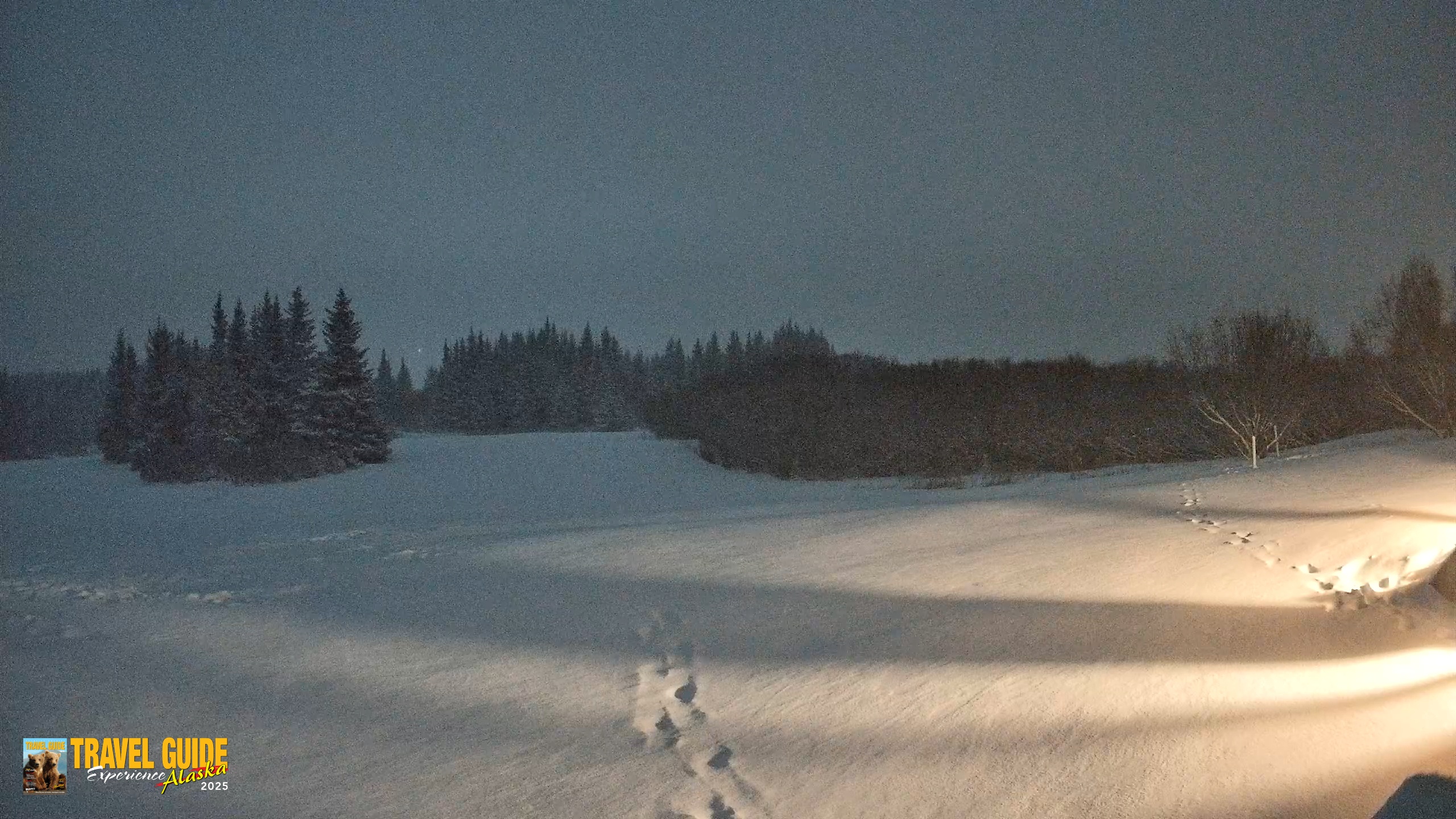 Snapshot of Homer Alaska Northern Lights Live Cam taken Jan 6, 2026, 6:43am AKST