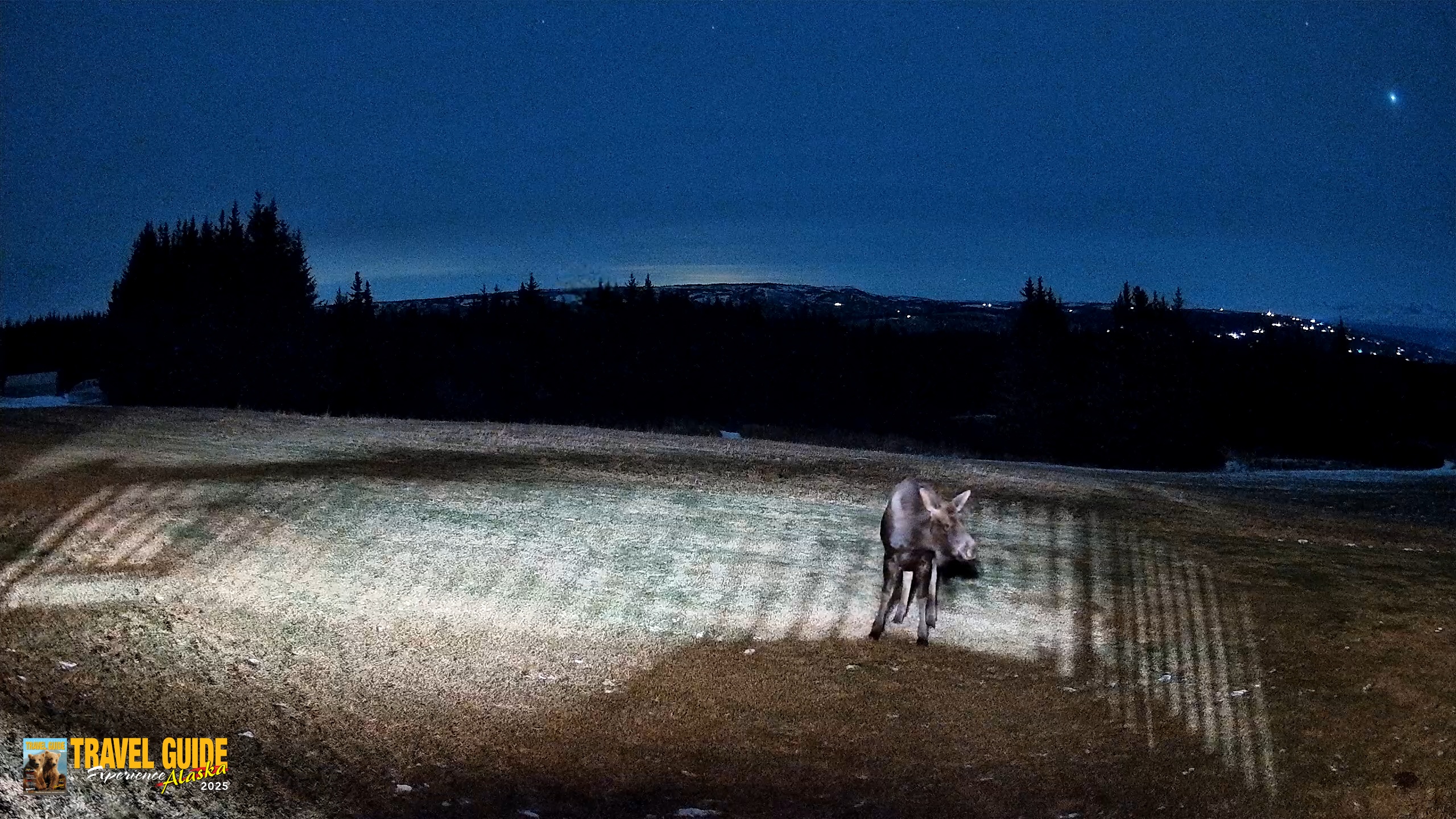 Snapshot of Homer Alaska Northern Lights Live Cam taken Dec 25, 2025, 7:37pm AKST