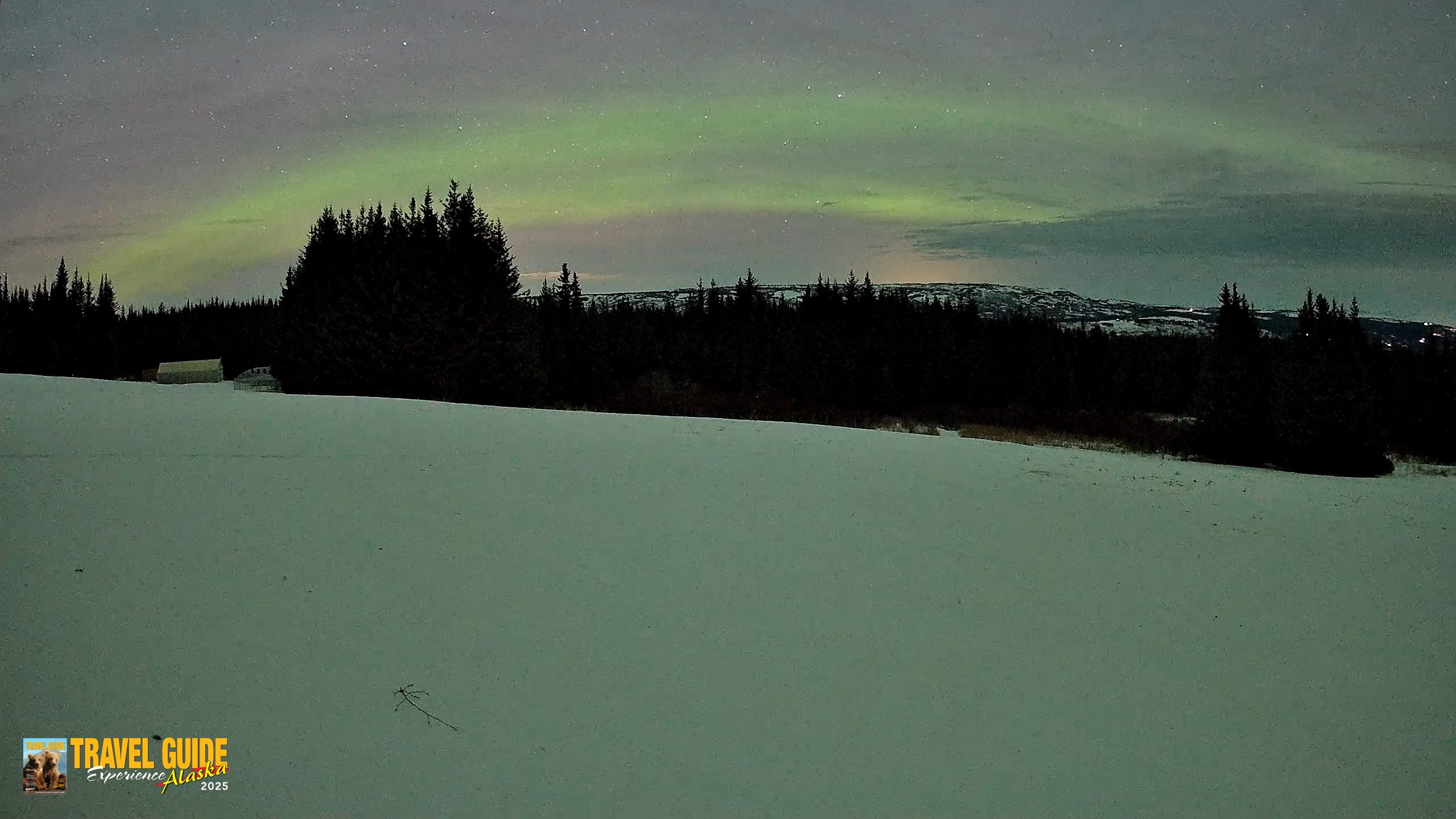 Snapshot of Homer Alaska Northern Lights Live Cam taken Jan 21, 2026, 1:40am AKST