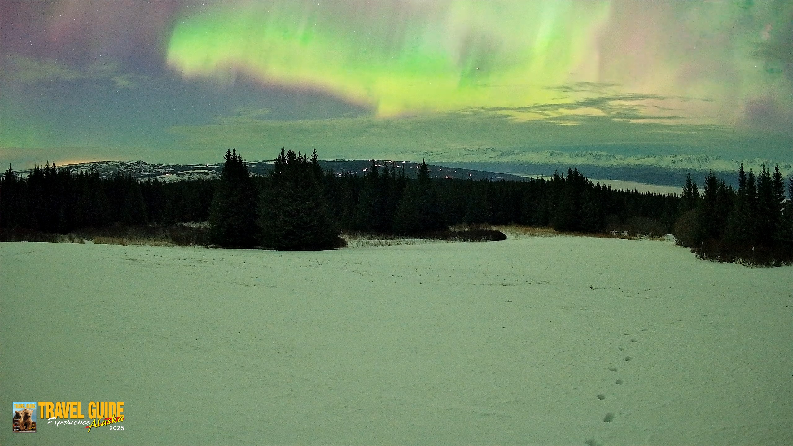 Snapshot of Homer Alaska Northern Lights Live Cam taken Jan 20, 2026, 5:55am AKST