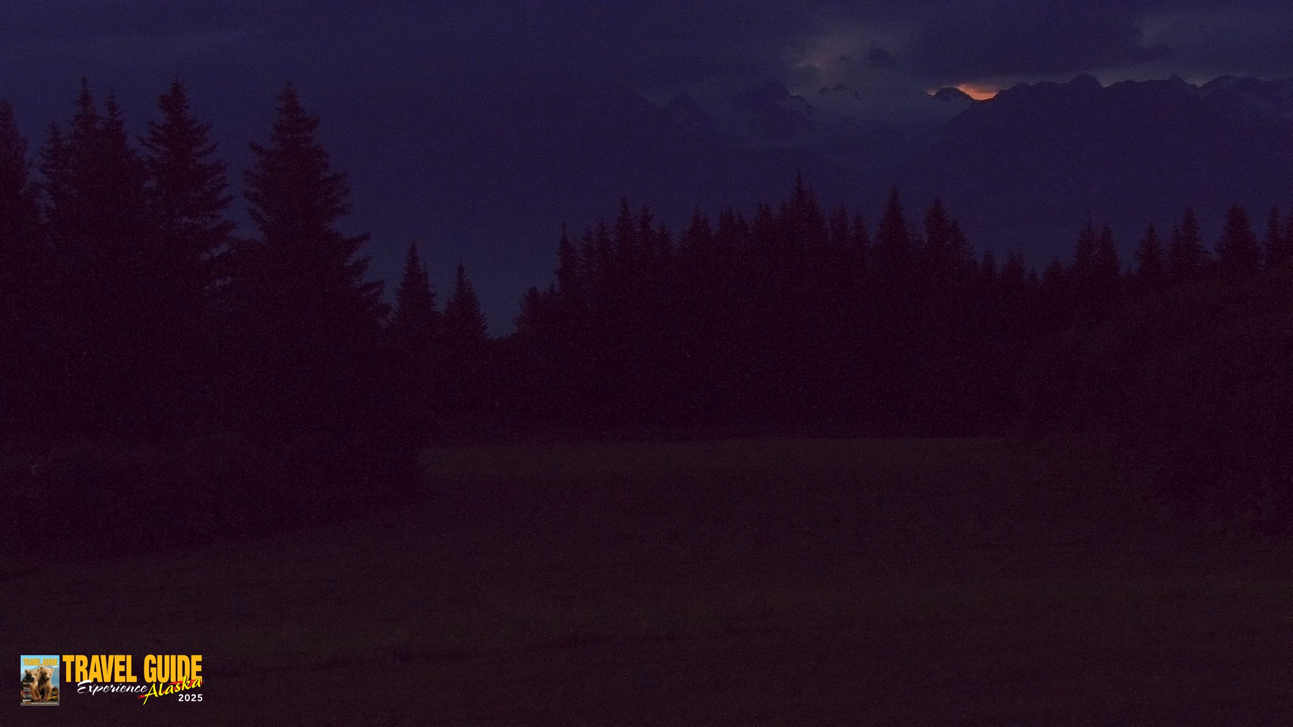 Snapshot of Homer Alaska Northern Lights Live Cam taken Aug 31, 2026, 6:17am AKDT