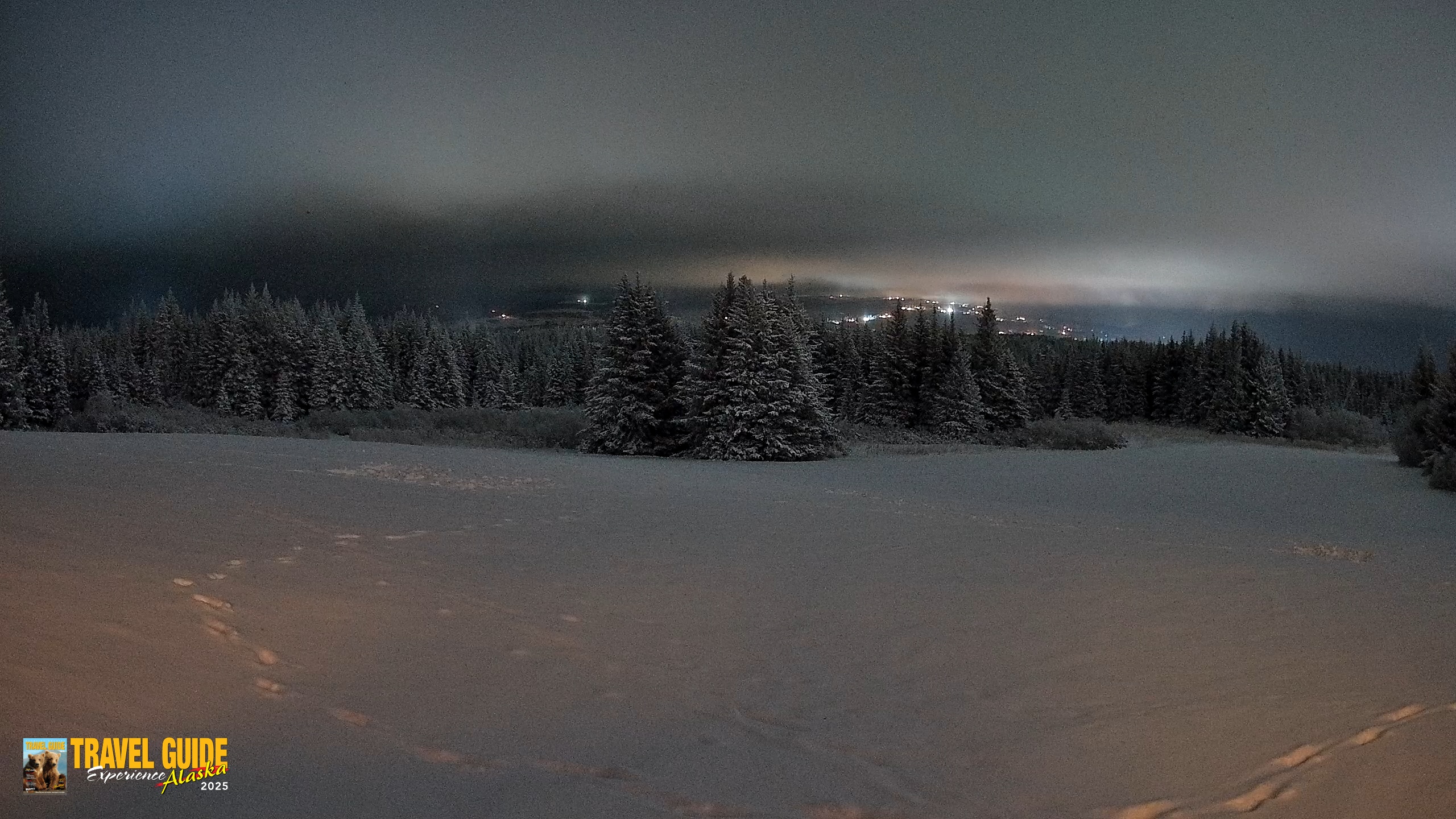 Snapshot of Homer Alaska Northern Lights Live Cam taken Jan 11, 2026, 8:05pm AKST