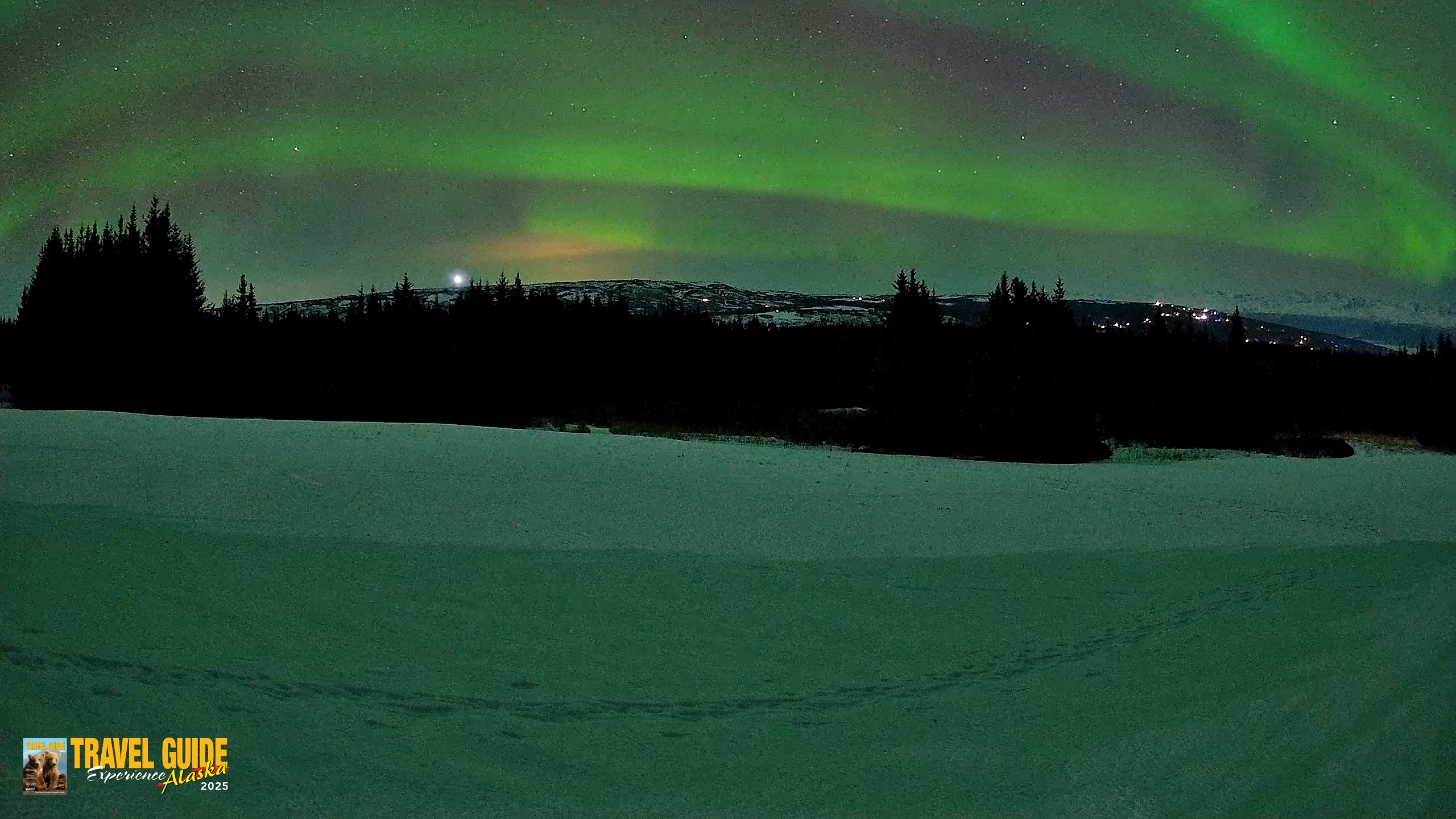 Snapshot of Homer Alaska Northern Lights Live Cam taken Feb 21, 2026, 10:32pm AKST