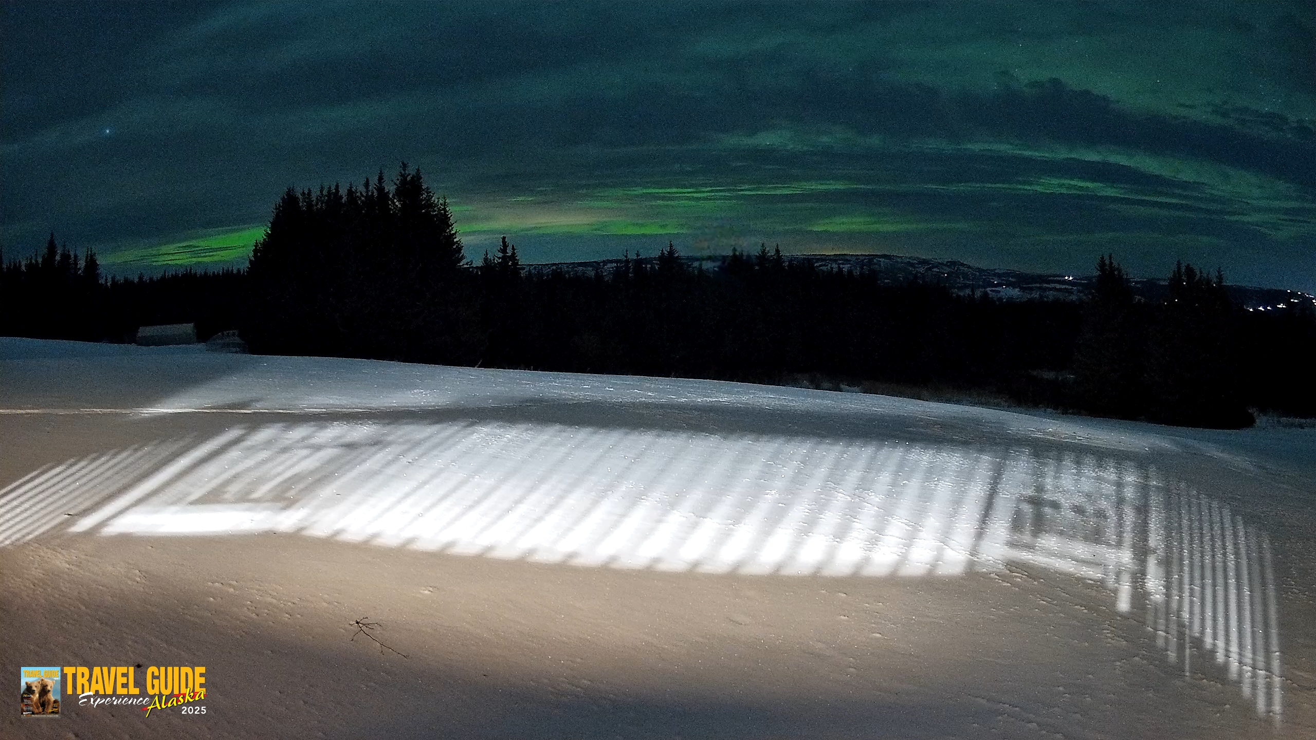 Snapshot of Homer Alaska Northern Lights Live Cam taken Jan 19, 2026, 10:08pm AKST