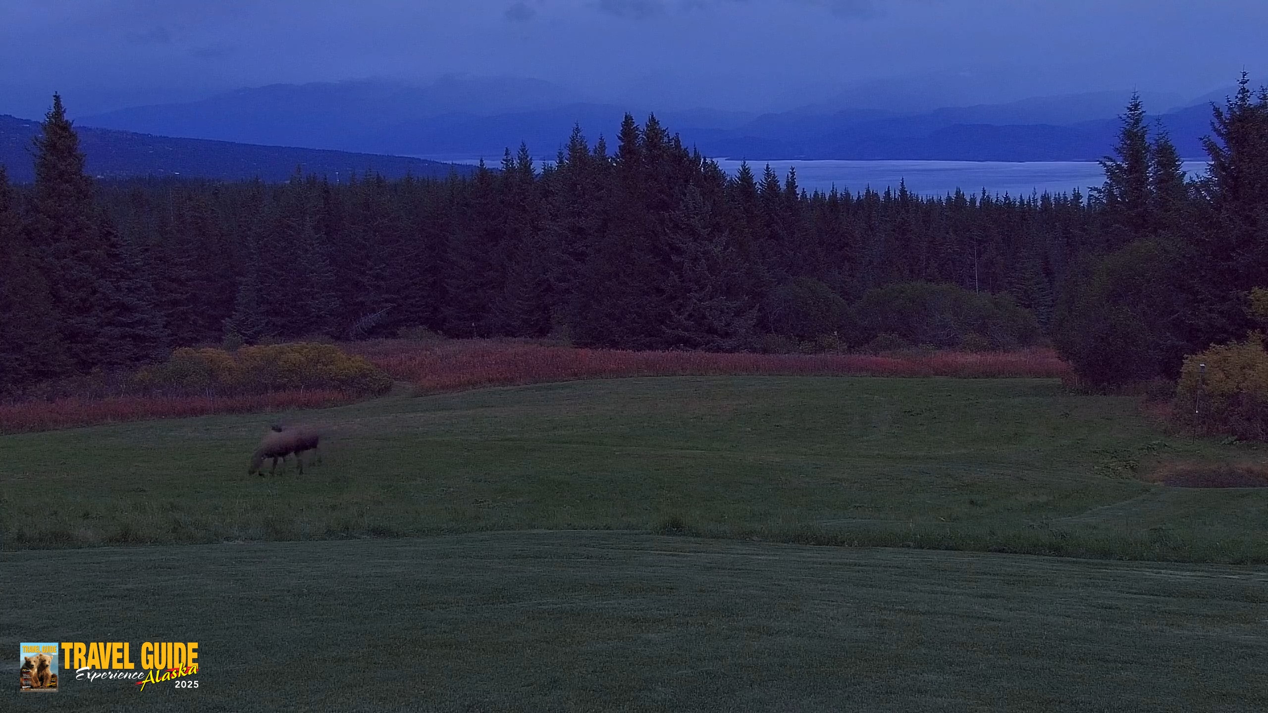 Snapshot of Homer Alaska Northern Lights Live Cam taken Sep 25, 2026, 8:17pm AKDT