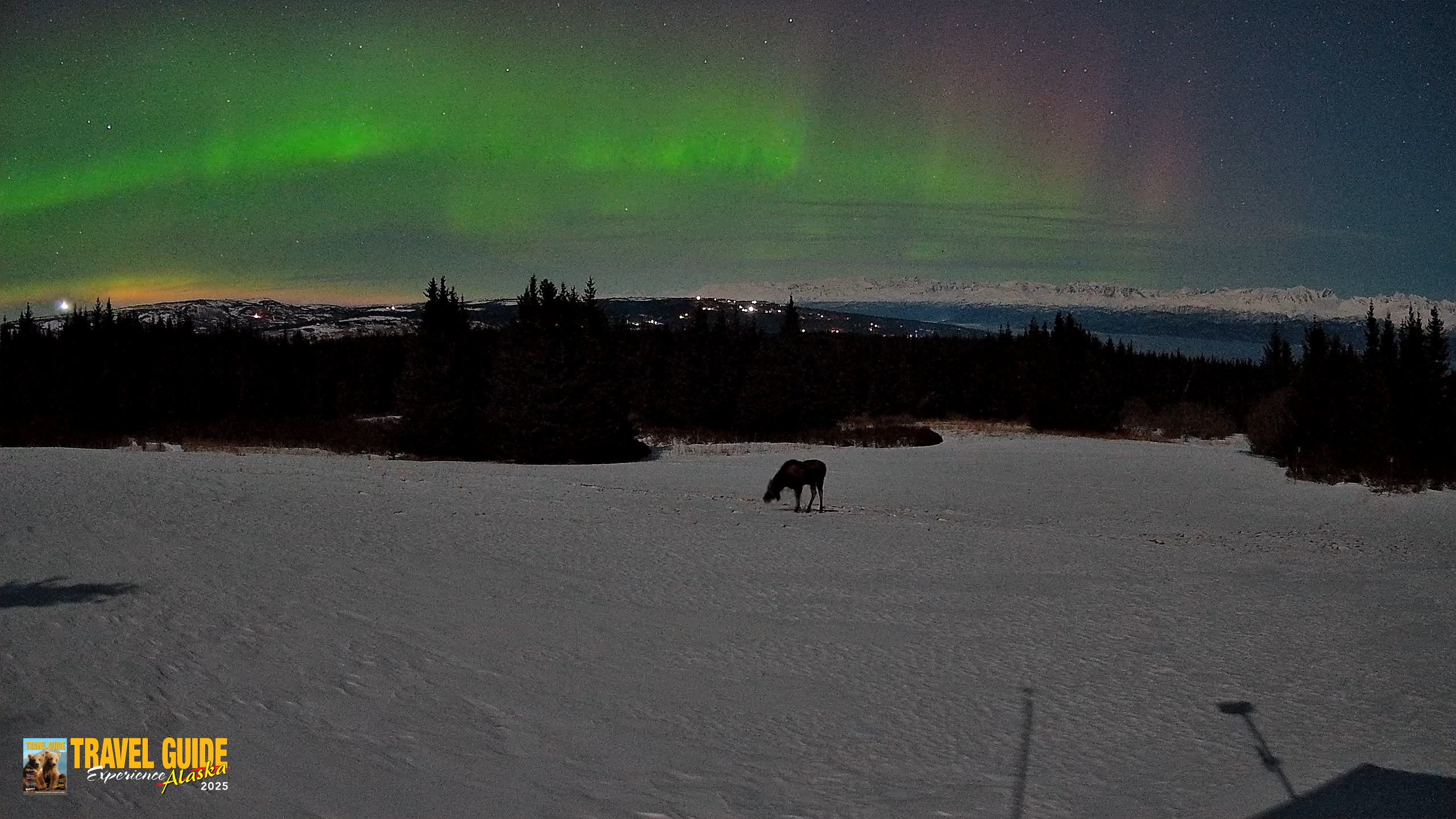Snapshot of Homer Alaska Northern Lights Live Cam taken Mar 23, 2026, 10:51pm AKDT