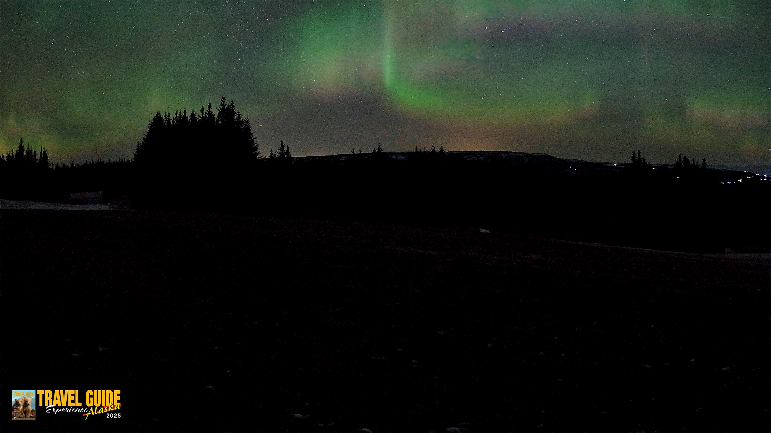 Snapshot of Homer Alaska Northern Lights Live Cam taken Dec 23, 2025, 4:23am AKST