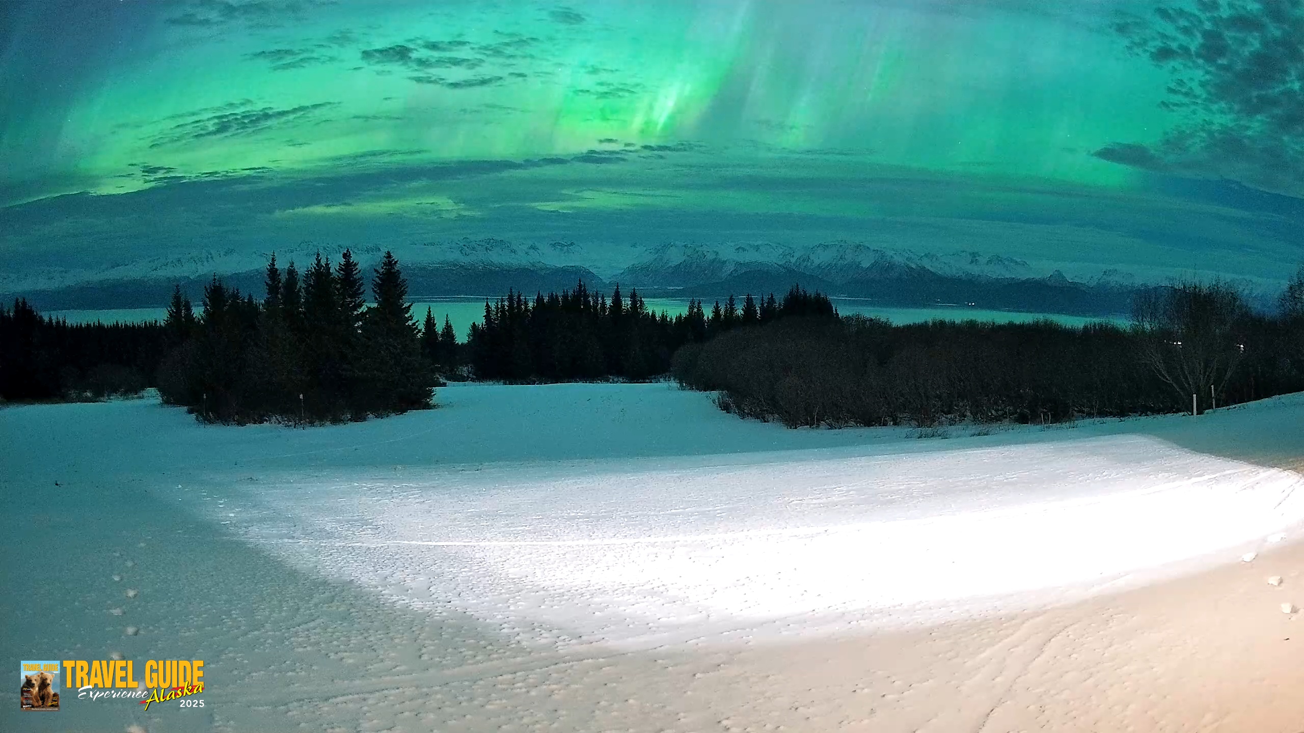 Snapshot of Homer Alaska Northern Lights Live Cam taken Jan 20, 2026, 1:42am AKST