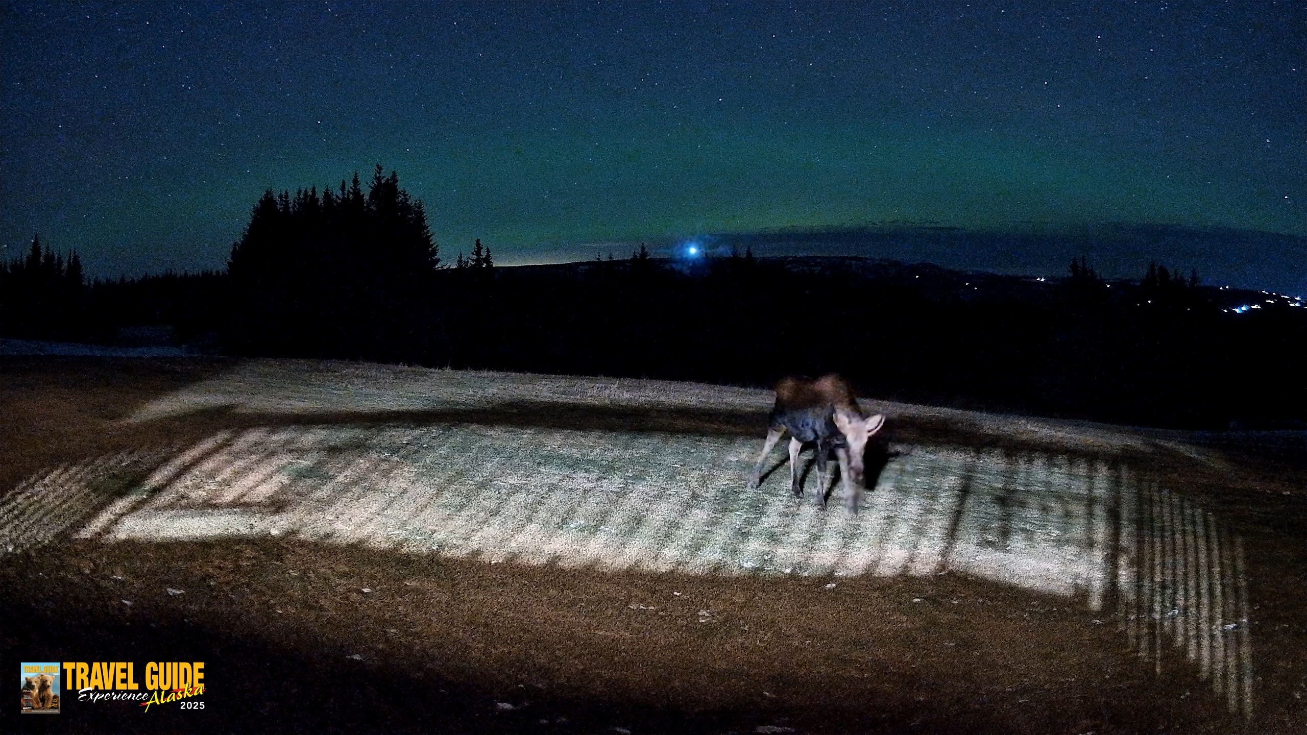 Snapshot of Homer Alaska Northern Lights Live Cam taken Dec 22, 2025, 9:50pm AKST