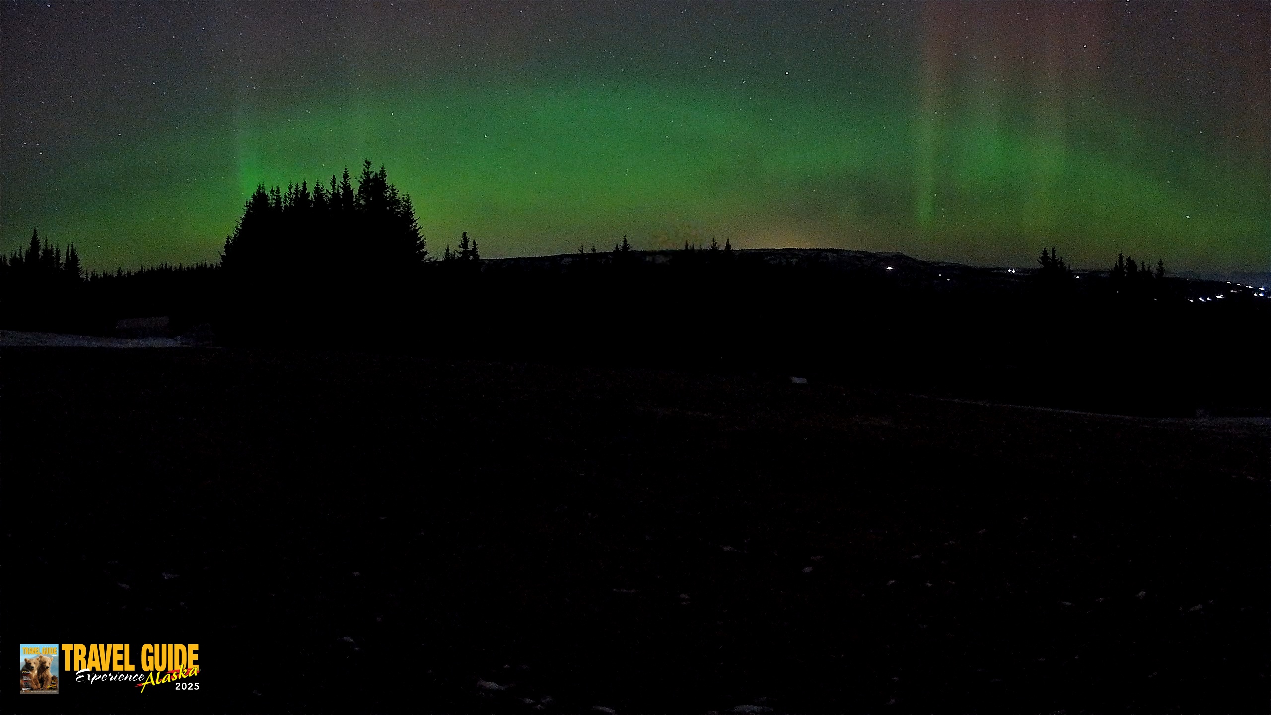 Snapshot of Homer Alaska Northern Lights Live Cam taken Dec 17, 2025, 10:38pm AKST