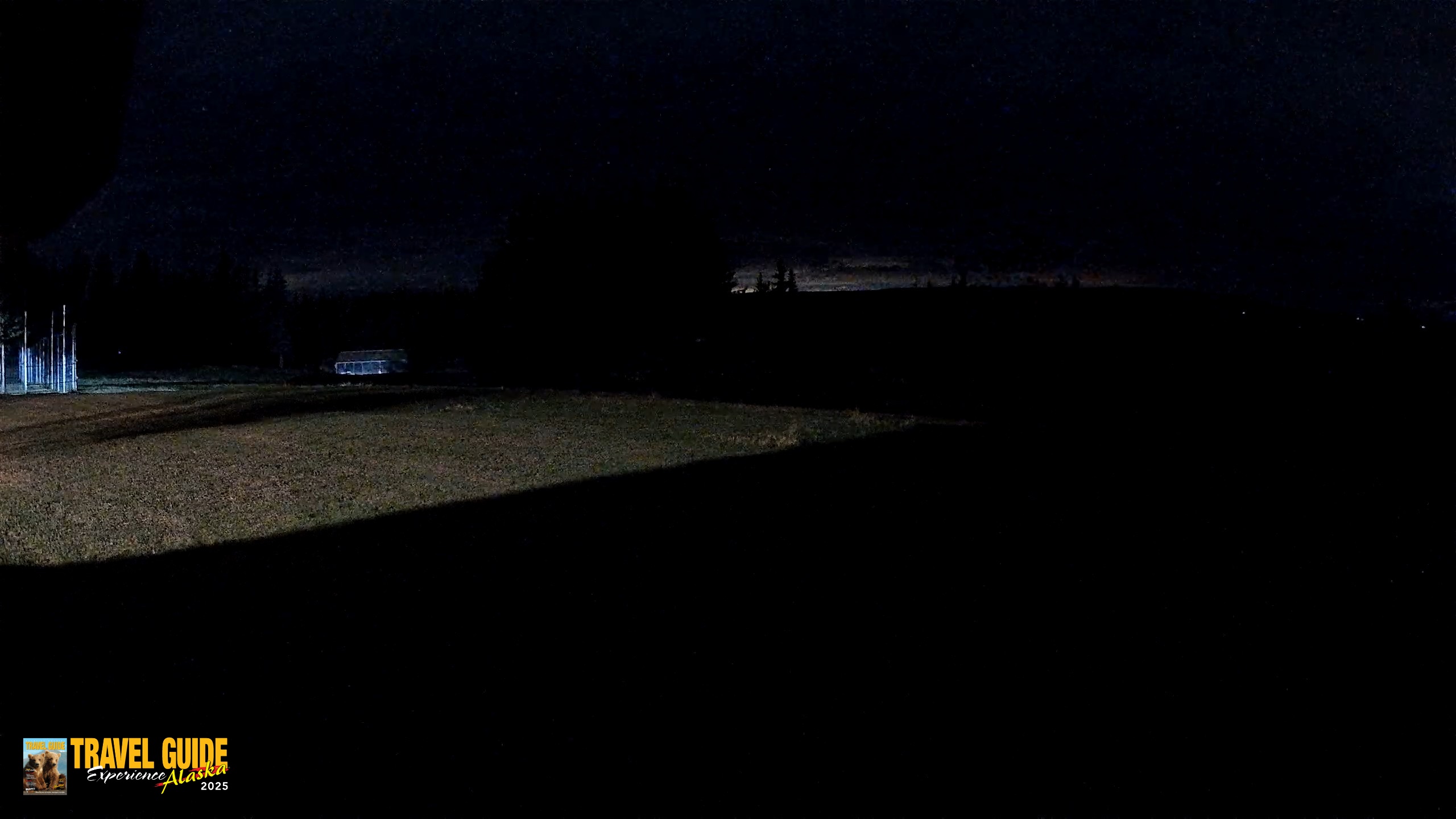 Snapshot of Homer Alaska Northern Lights Live Cam taken Oct 3, 2026, 10:39pm AKDT