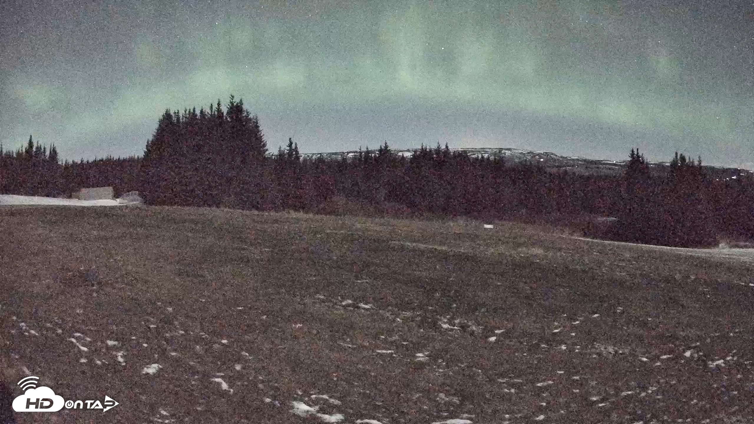 Snapshot of Homer Alaska Northern Lights Live Cam taken Dec 10, 2025, 4:28am AKST
