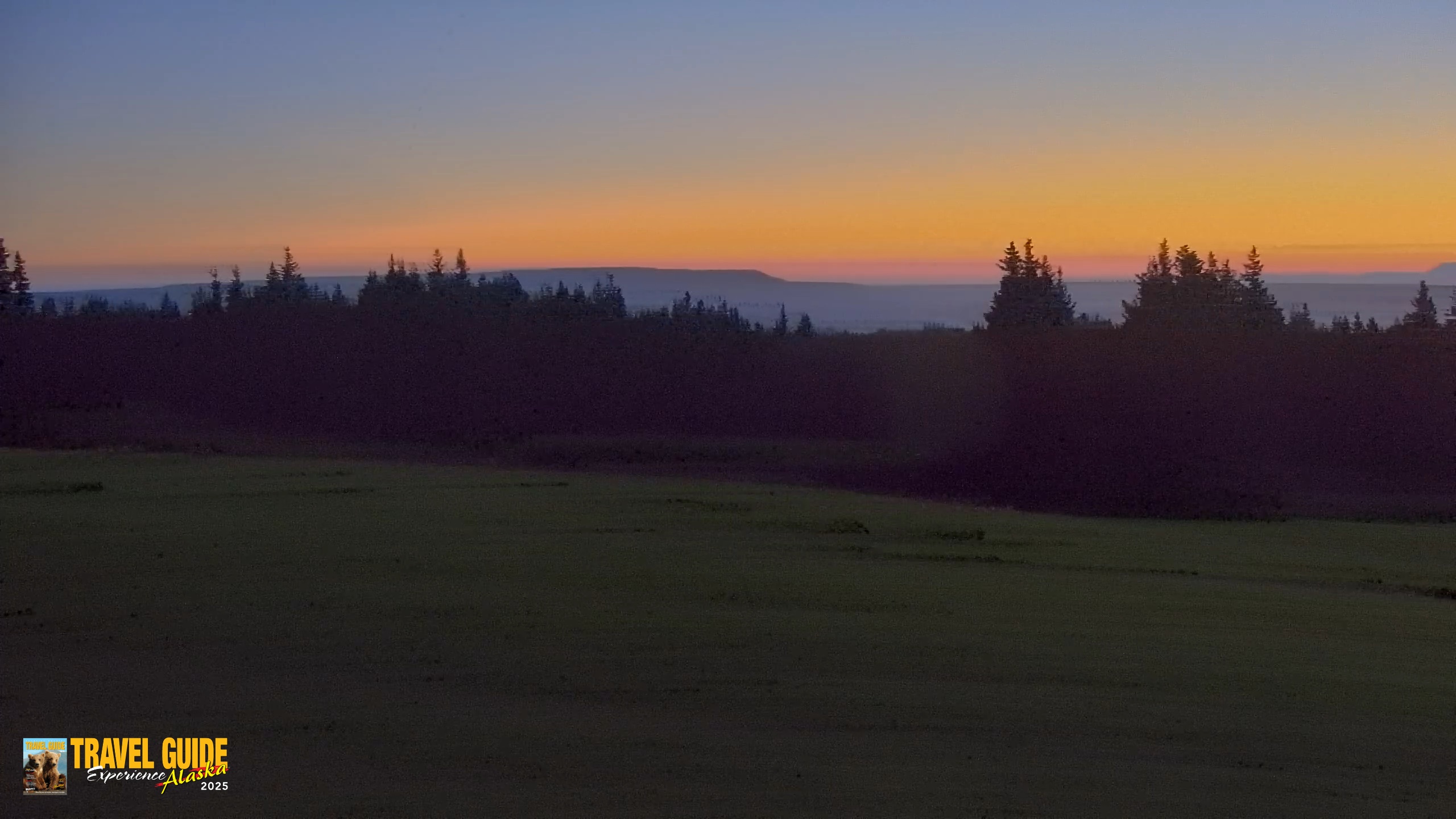 Snapshot of Homer Alaska Northern Lights Live Cam taken Sep 11, 2026, 6:51am AKDT