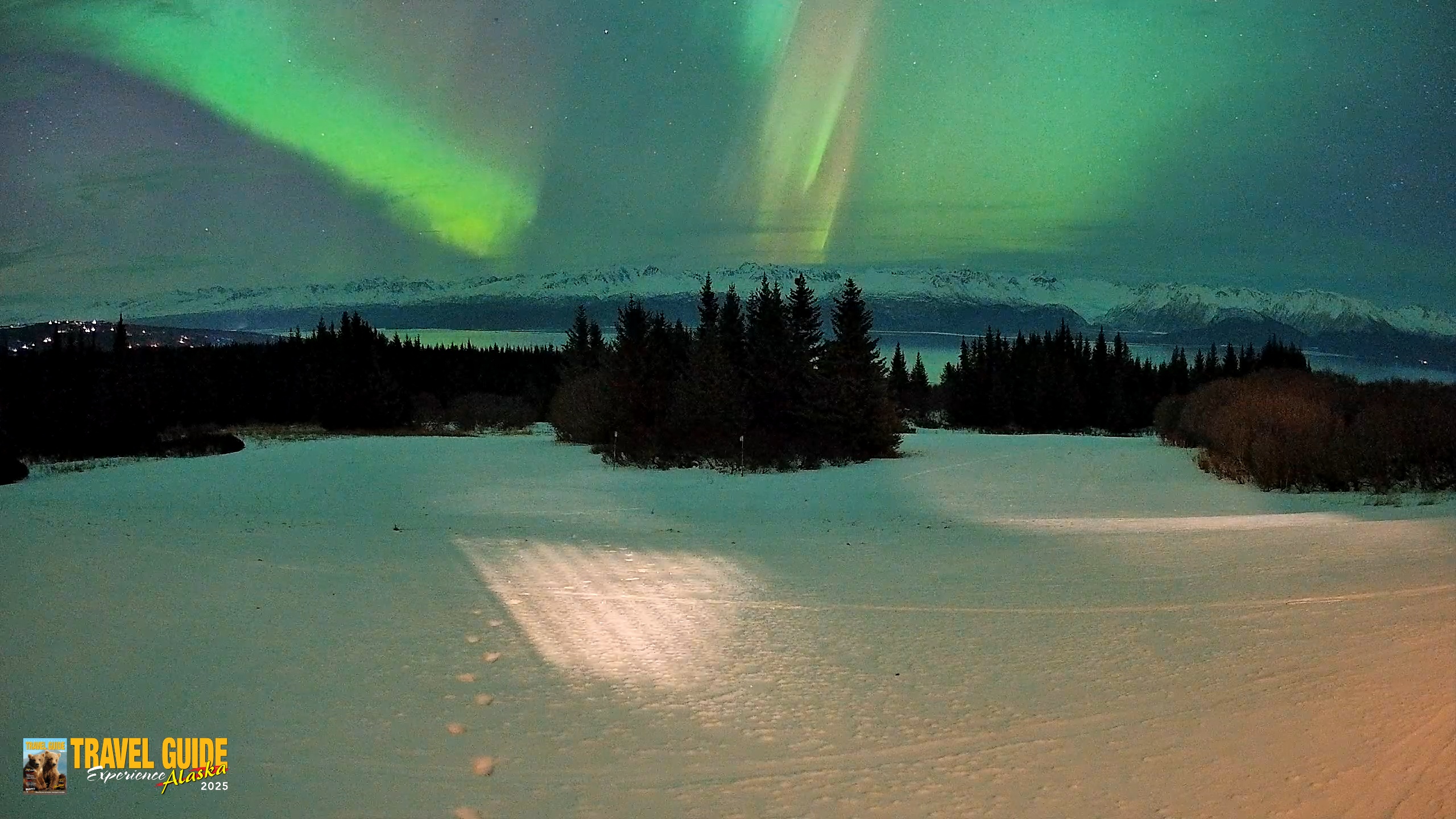 Snapshot of Homer Alaska Northern Lights Live Cam taken Jan 20, 2026, 9:51pm AKST