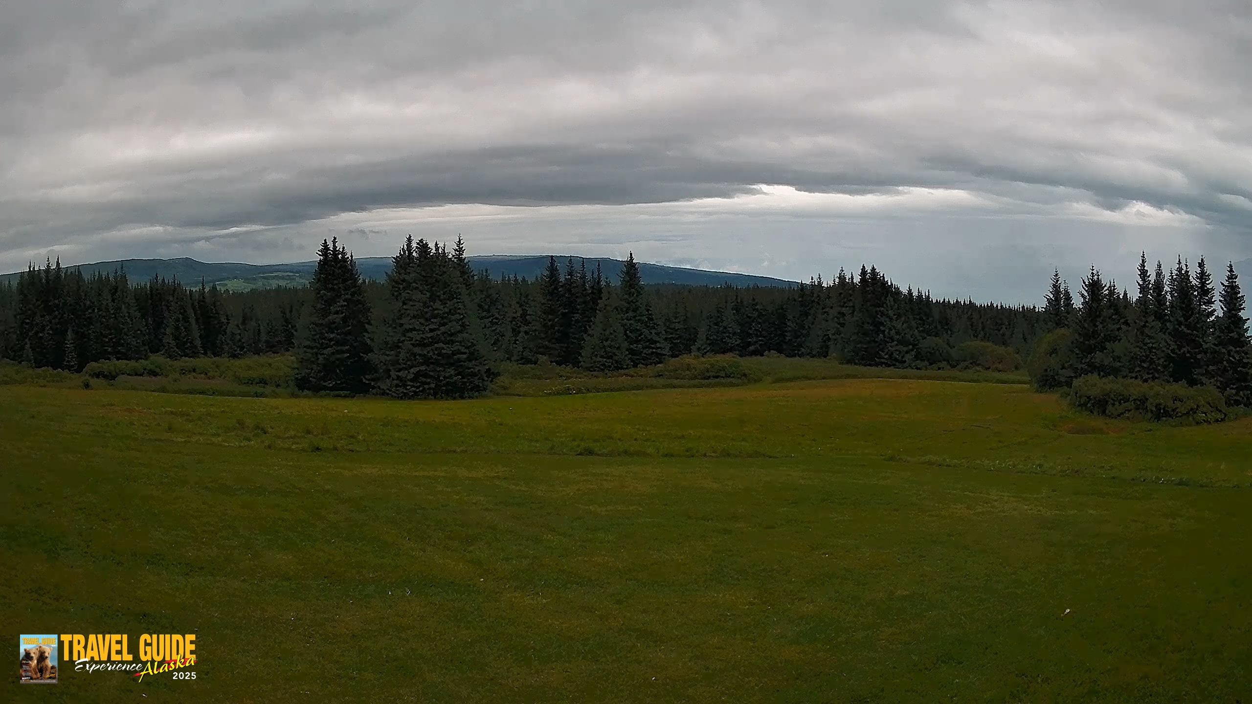 Snapshot of Homer Alaska Northern Lights Live Cam taken Aug 28, 2026, 12:57pm AKDT