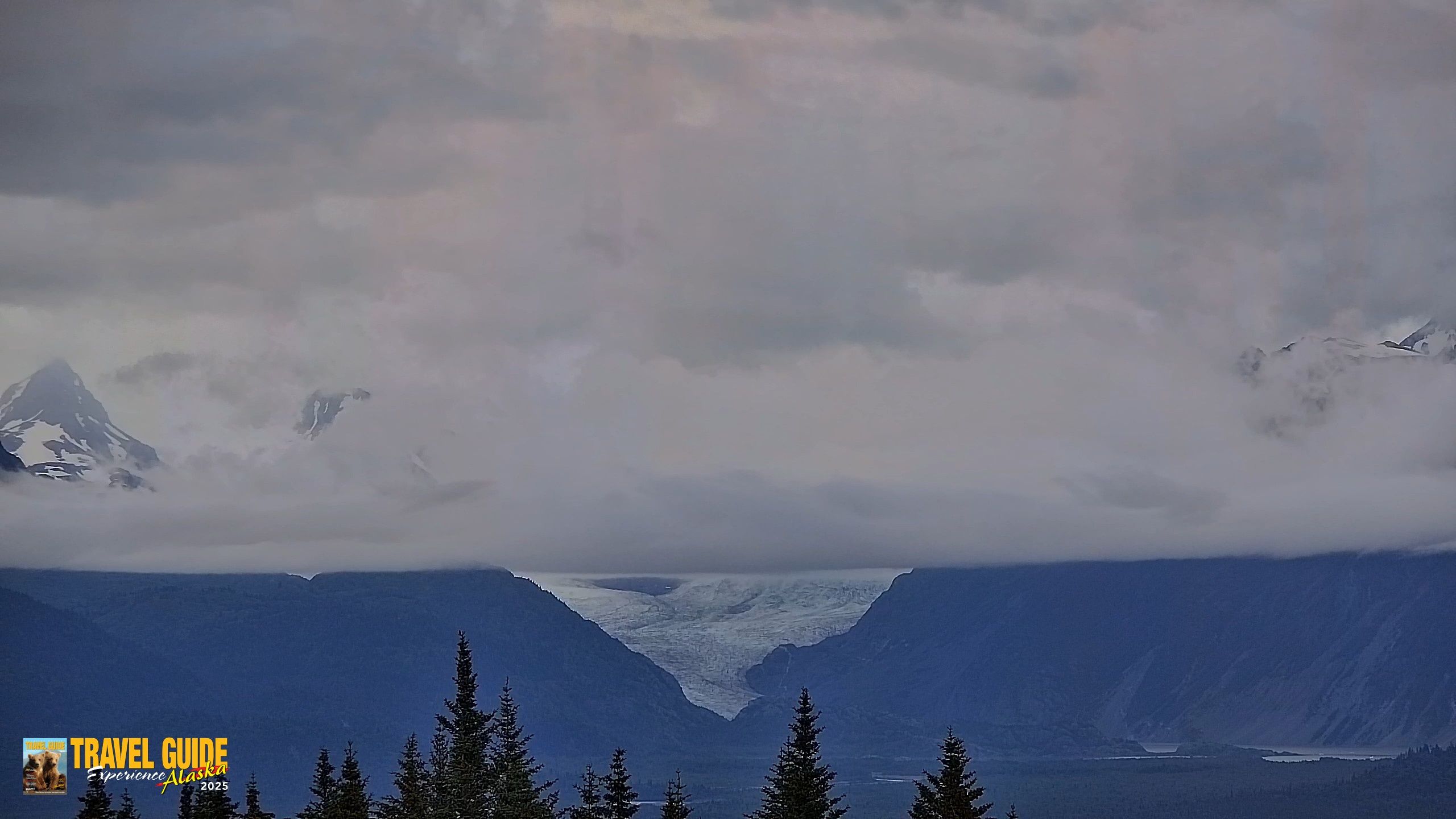 Snapshot of Homer Alaska Northern Lights Live Cam taken Jul 11, 2026, 11:11pm AKDT