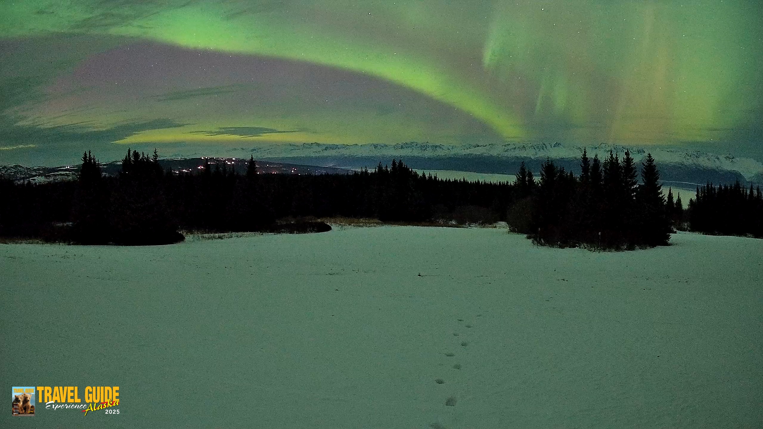 Snapshot of Homer Alaska Northern Lights Live Cam taken Jan 20, 2026, 10:24pm AKST