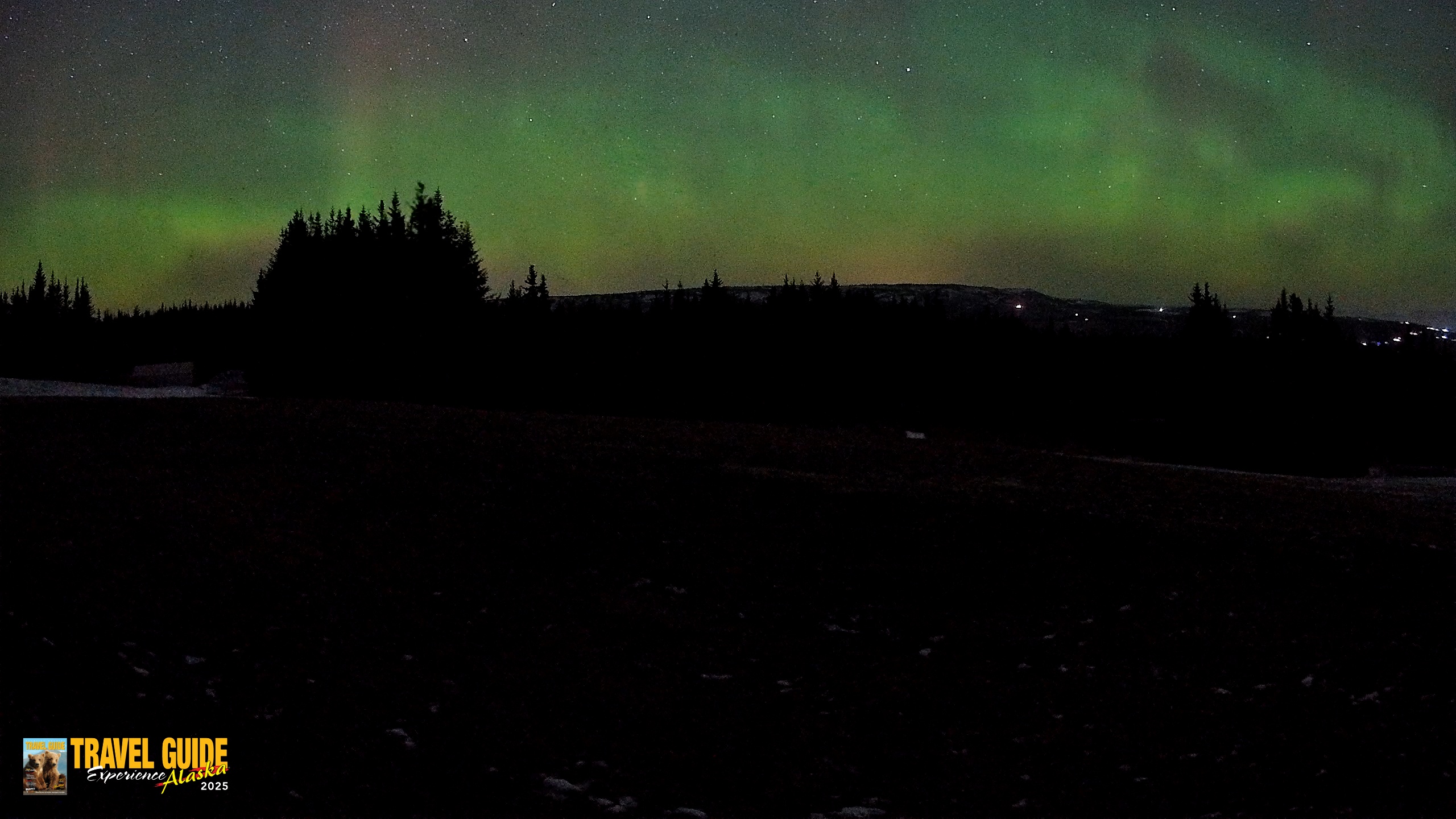 Snapshot of Homer Alaska Northern Lights Live Cam taken Dec 15, 2025, 4:31am AKST
