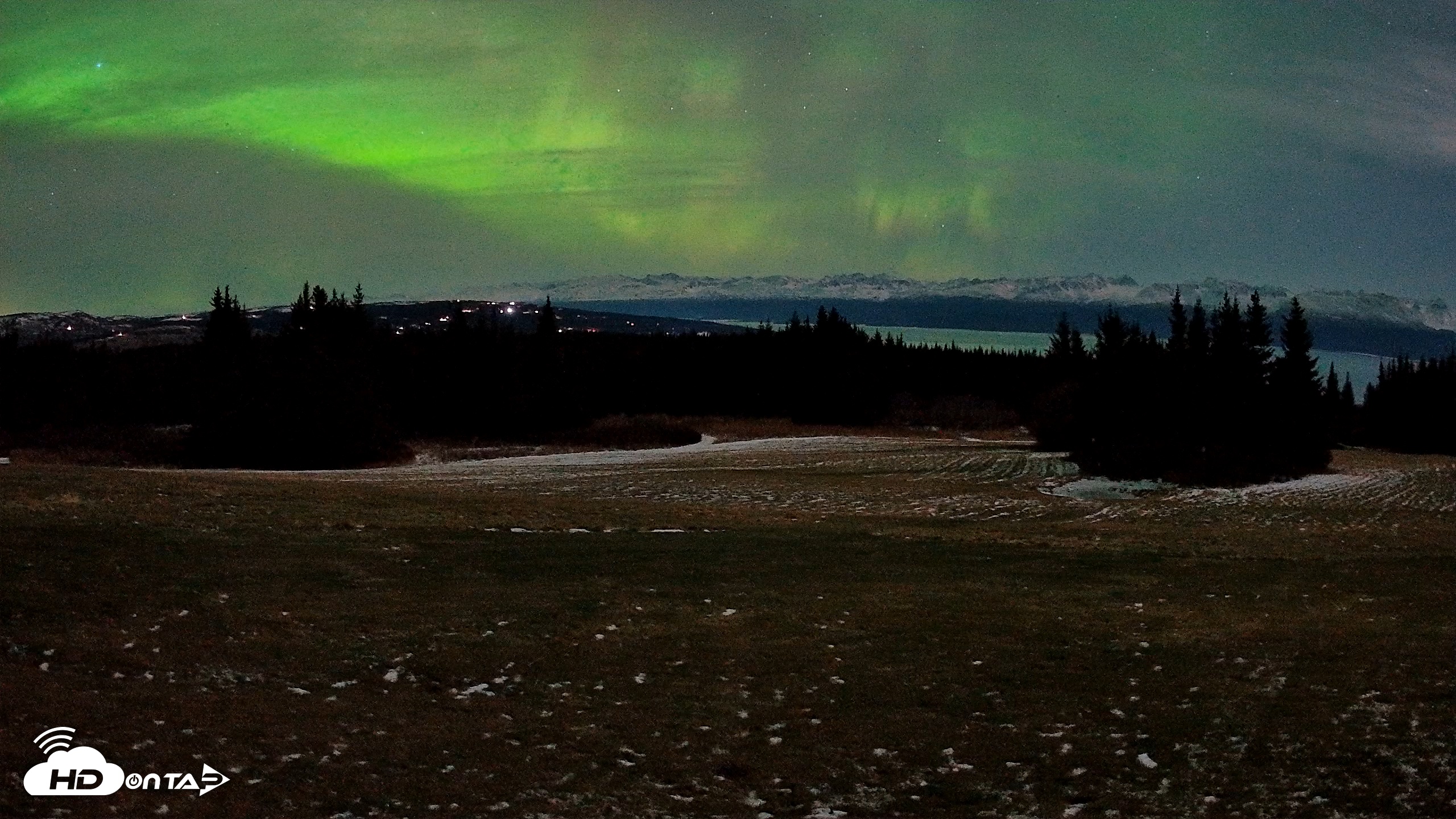 Snapshot of Homer Alaska Northern Lights Live Cam taken Dec 12, 2025, 5:14am AKST