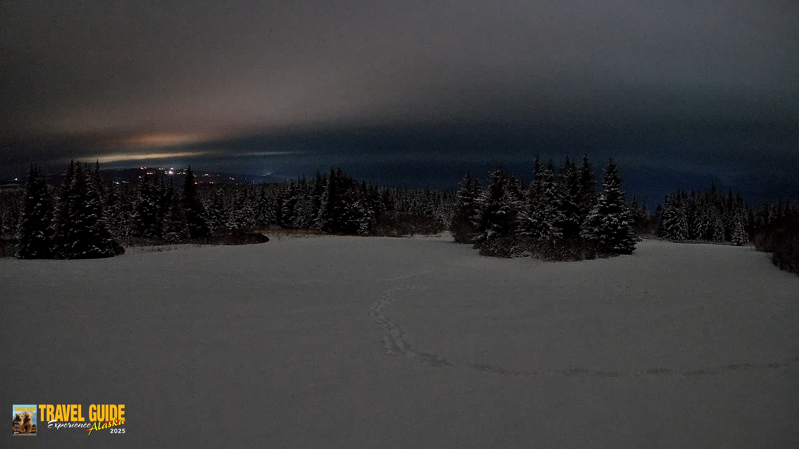 Snapshot of Homer Alaska Northern Lights Live Cam taken Feb 14, 2026, 1:49am AKST