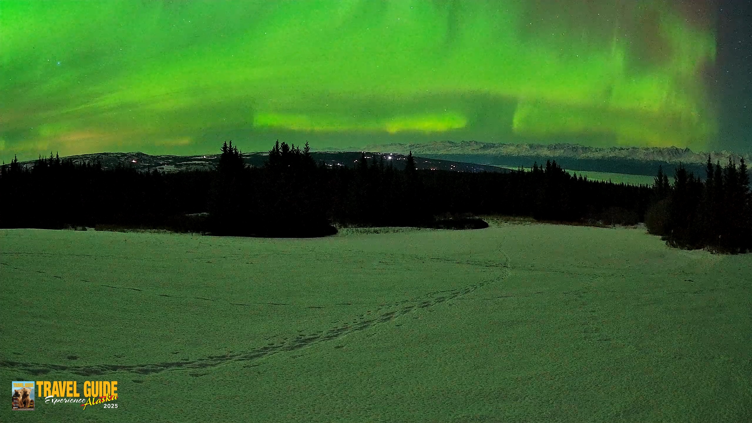 Snapshot of Homer Alaska Northern Lights Live Cam taken Feb 21, 2026, 11:44pm AKST