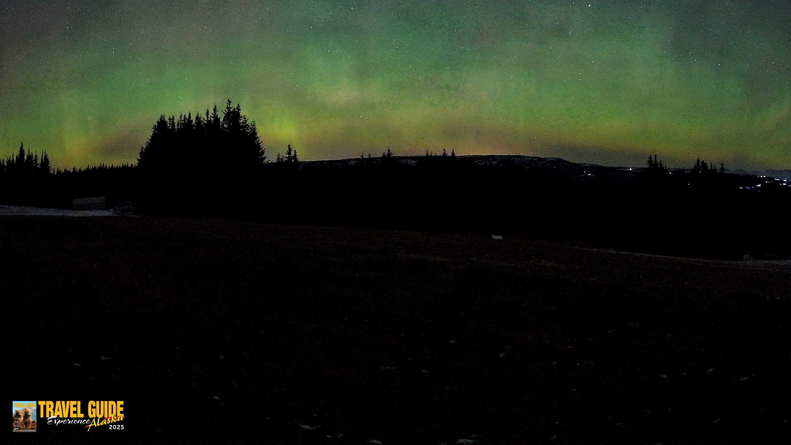 Snapshot of Homer Alaska Northern Lights Live Cam taken Dec 22, 2025, 5:01am AKST