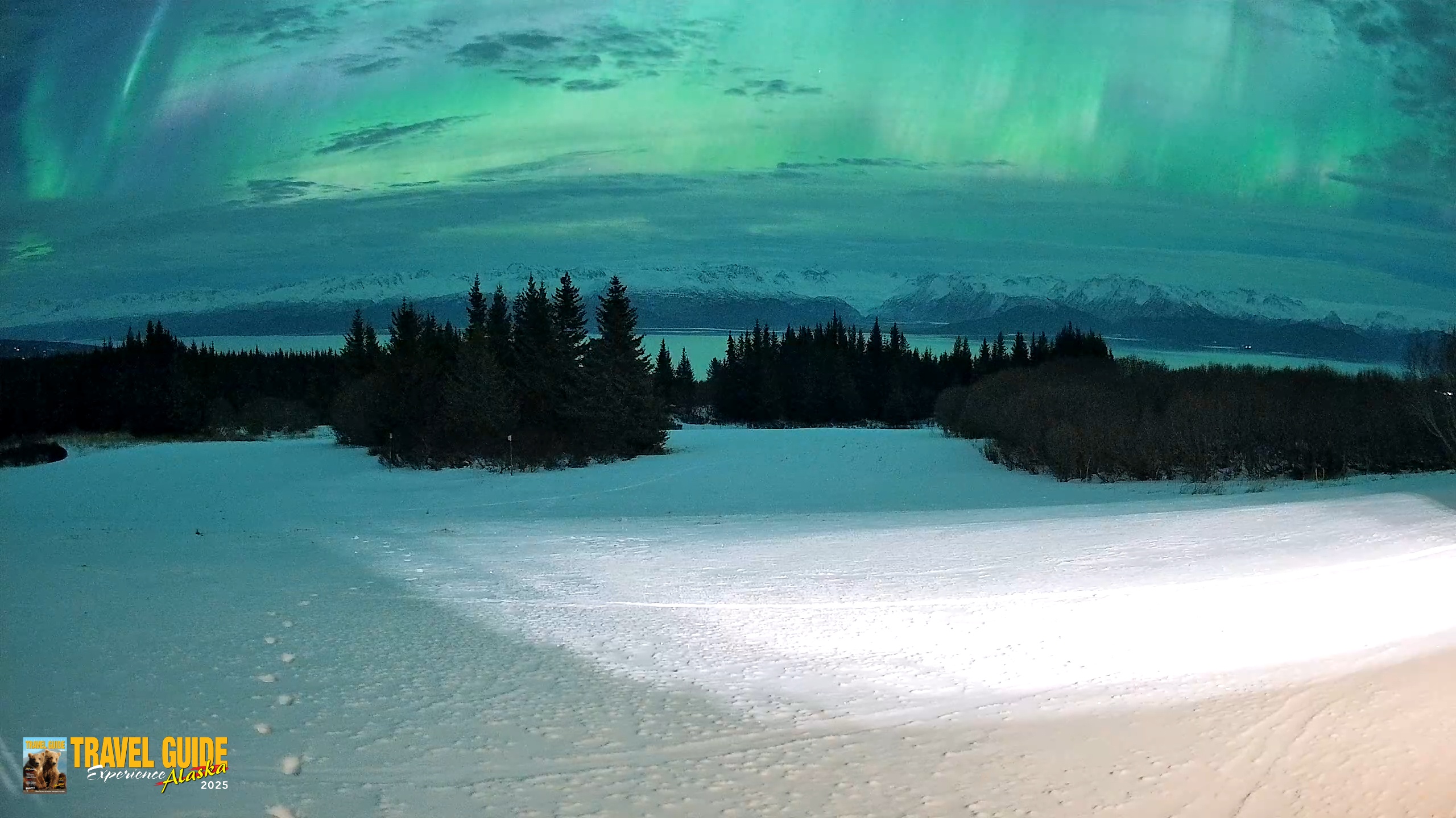 Snapshot of Homer Alaska Northern Lights Live Cam taken Jan 20, 2026, 1:46am AKST