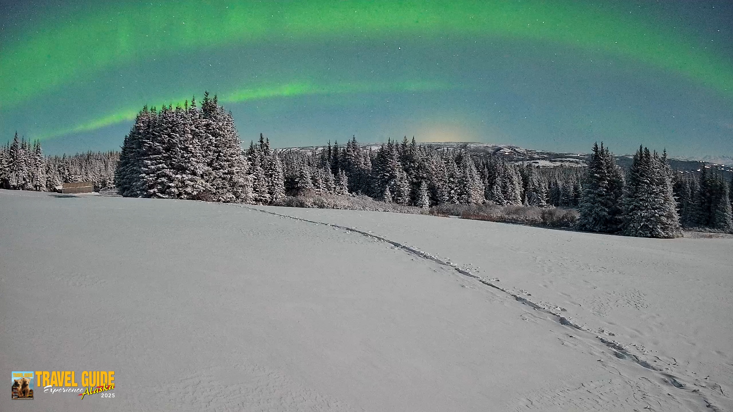 Snapshot of Homer Alaska Northern Lights Live Cam taken Jan 8, 2026, 3:35am AKST