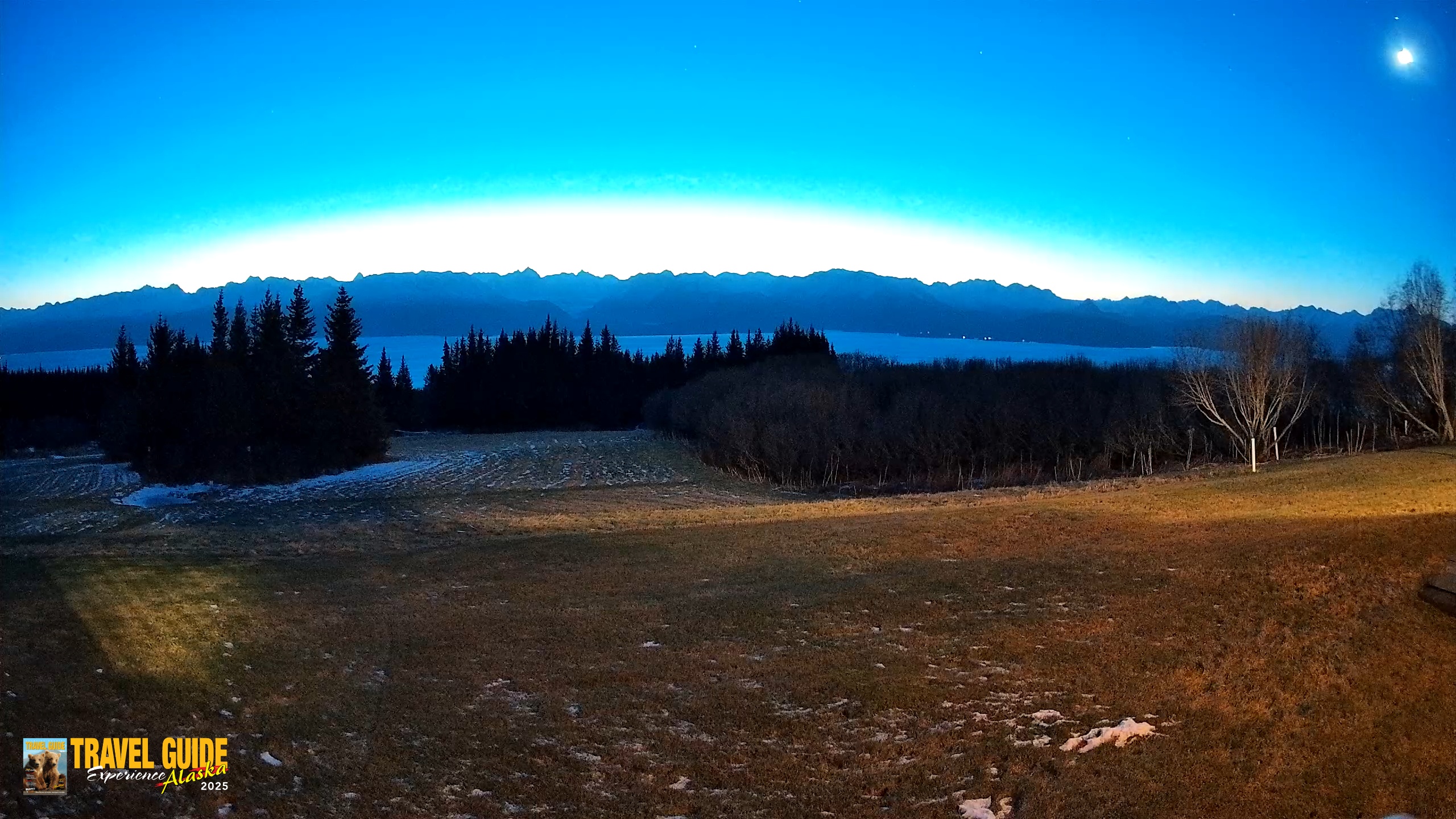 Snapshot of Homer Alaska Northern Lights Live Cam taken Dec 14, 2025, 8:24am AKST