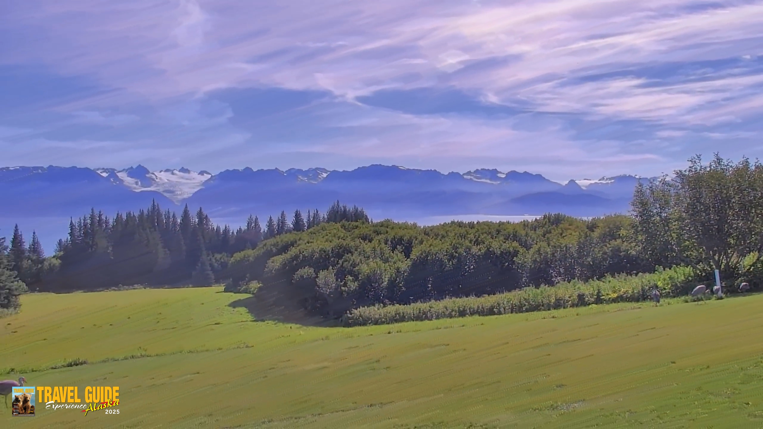 Snapshot of Homer Alaska Northern Lights Live Cam taken Sep 3, 2026, 12:15pm AKDT