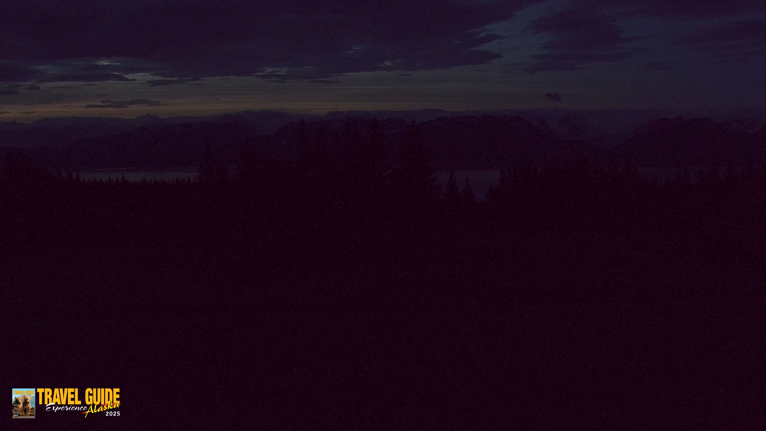 Snapshot of Homer Alaska Northern Lights Live Cam taken Aug 3, 2026, 4:43am AKDT