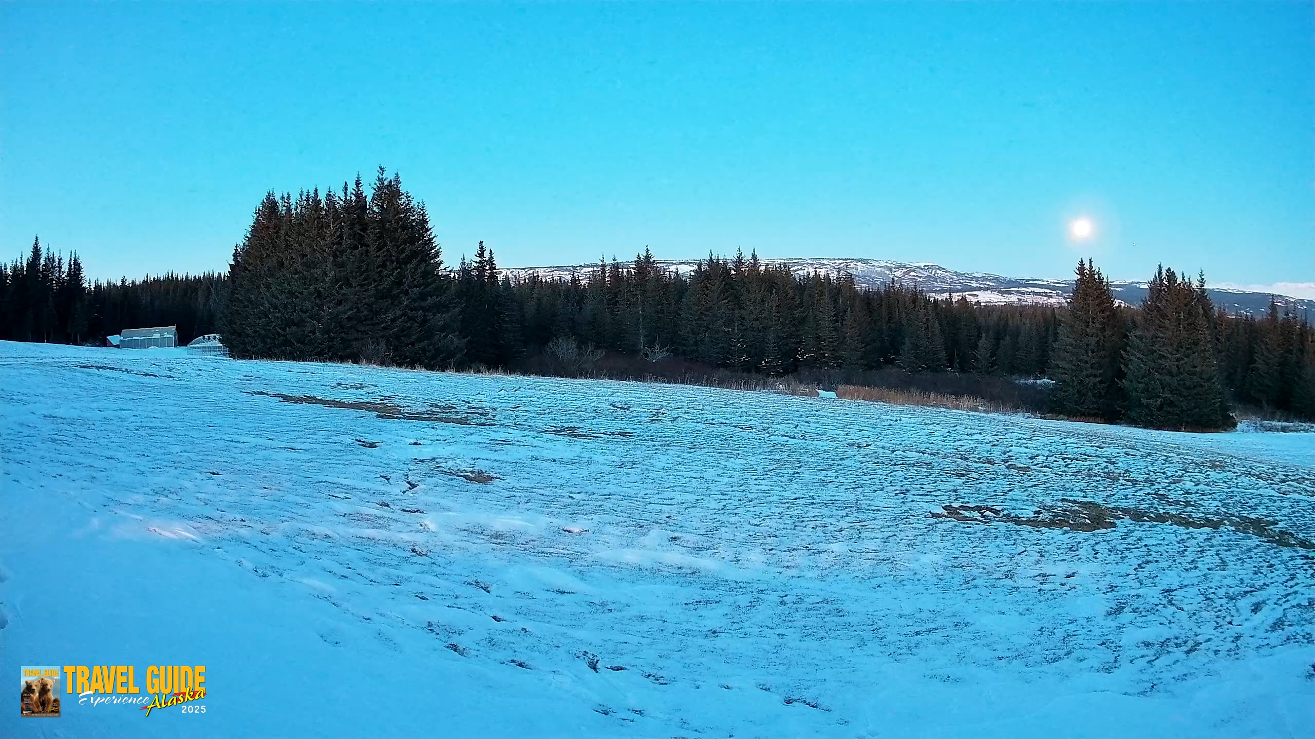 Snapshot of Homer Alaska Northern Lights Live Cam taken Jan 3, 2026, 6:27pm AKST