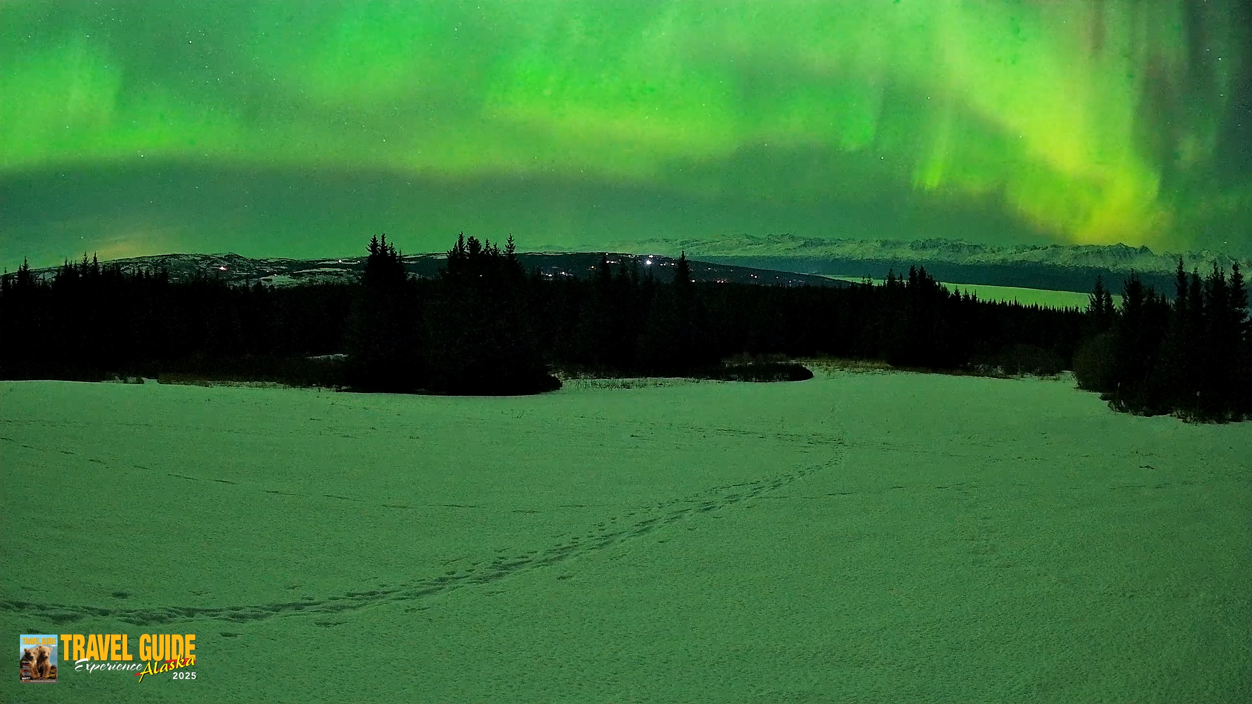 Snapshot of Homer Alaska Northern Lights Live Cam taken Feb 22, 2026, 1:58am AKST