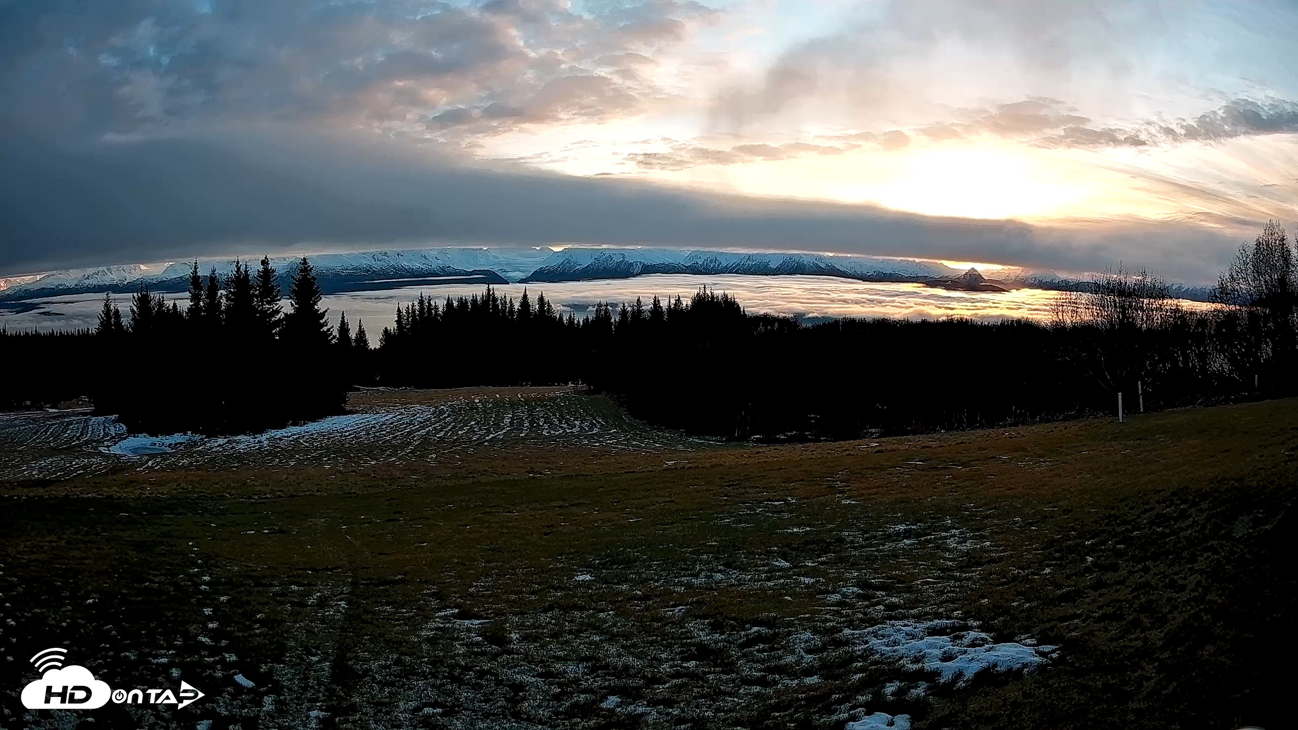 Snapshot of Homer Alaska Northern Lights Live Cam taken Dec 4, 2025, 10:49am AKST