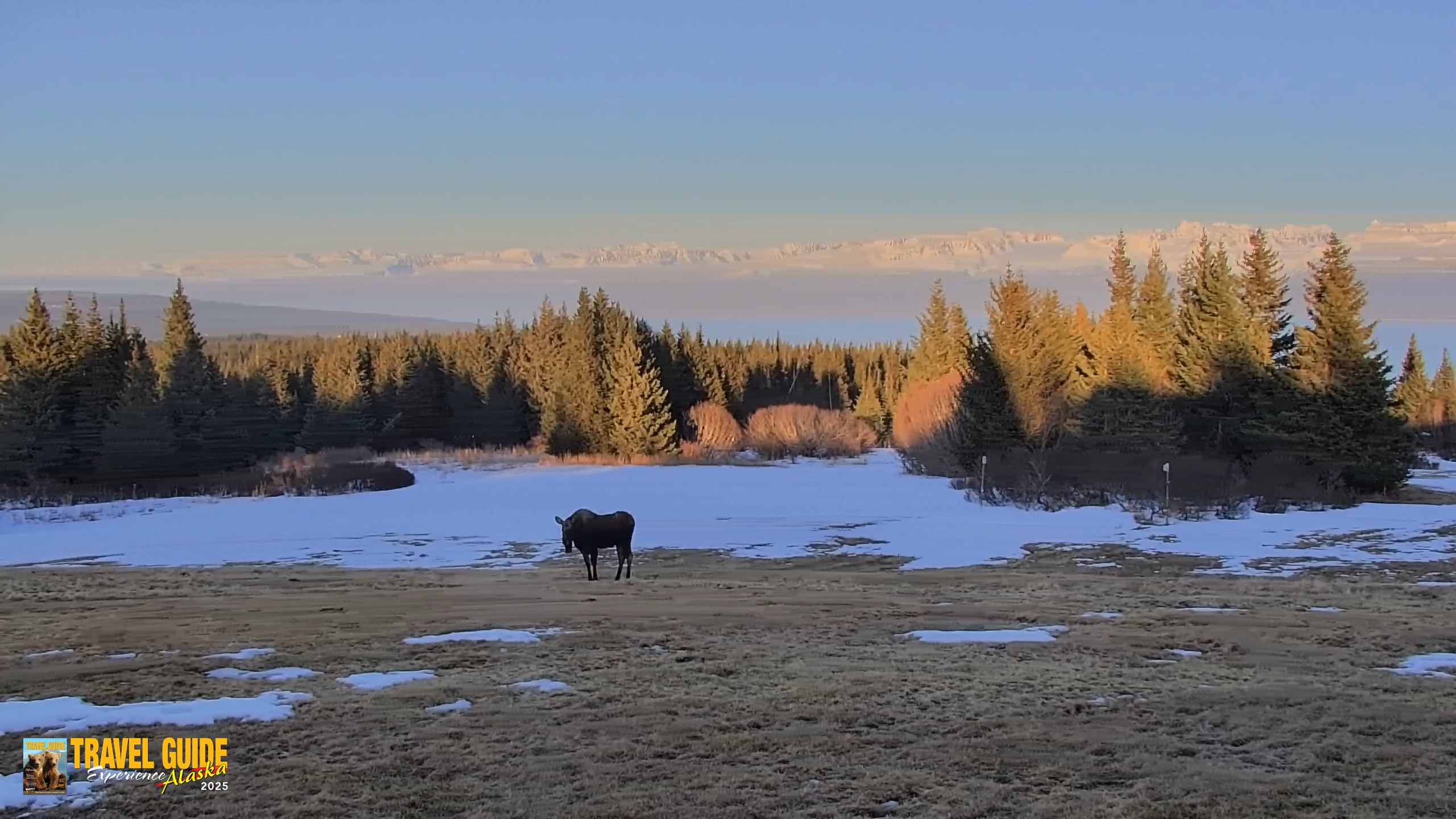 Snapshot of Homer Alaska Northern Lights Live Cam taken Apr 10, 2026, 8:13pm AKDT