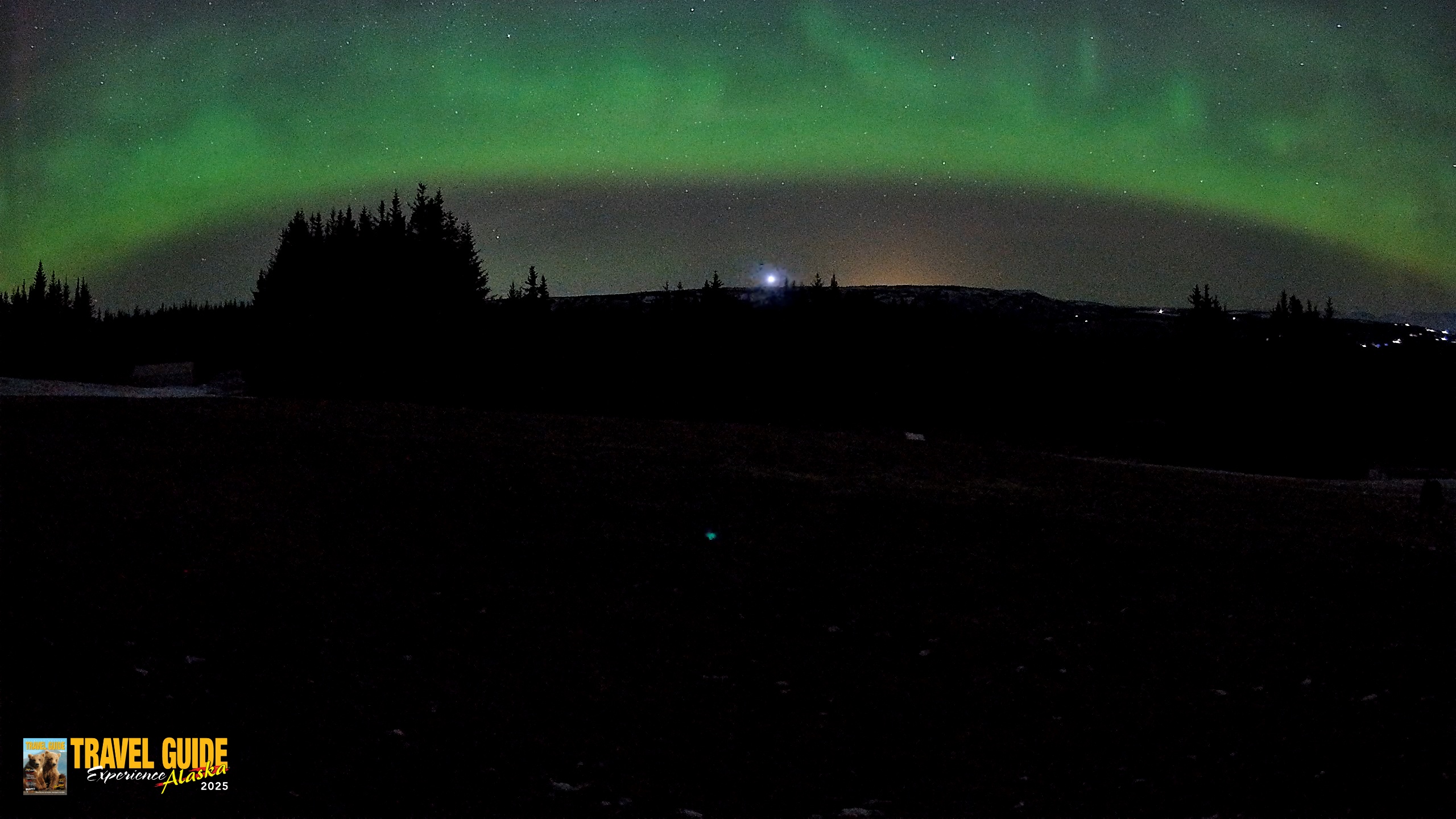 Snapshot of Homer Alaska Northern Lights Live Cam taken Dec 22, 2025, 4:18am AKST